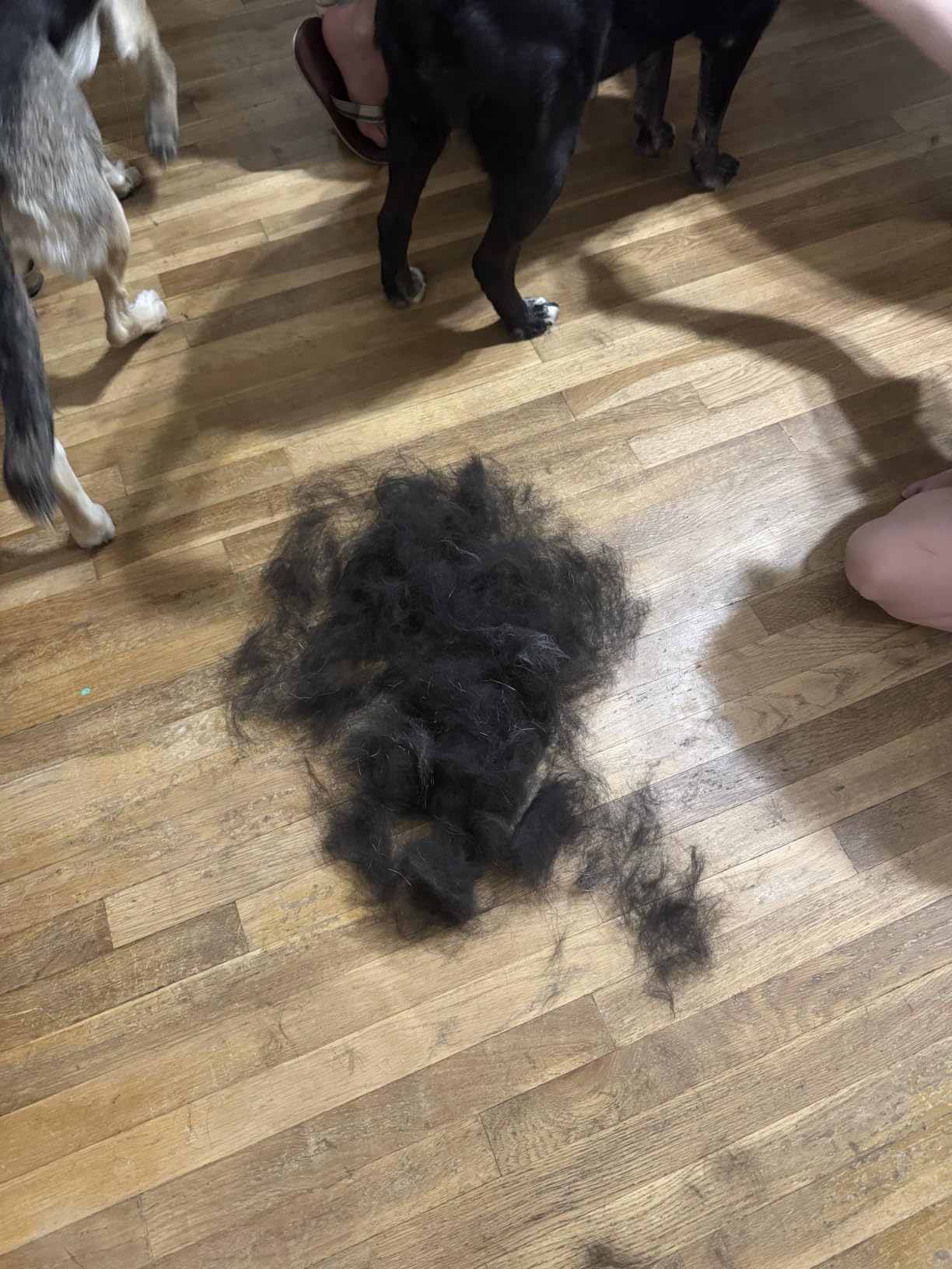 FURminator Large Dog Undercoat deShedding Tool for Long Hair customer photo 2