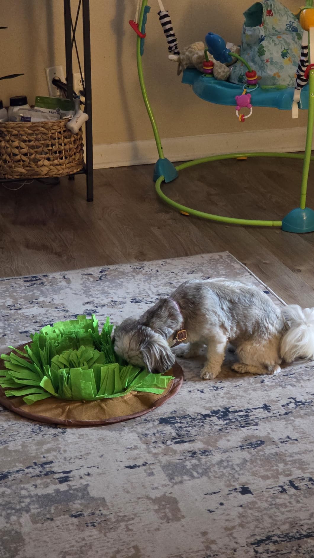 AWOOF Pet Snuffle Mat for Dogs, Interactive Feed Game for Boredom, Encourages Natural Foraging Skills for Cats Dogs Bowl Travel Use, Dog Treat Dispenser Indoor Outdoor Stress Relief customer photo 2