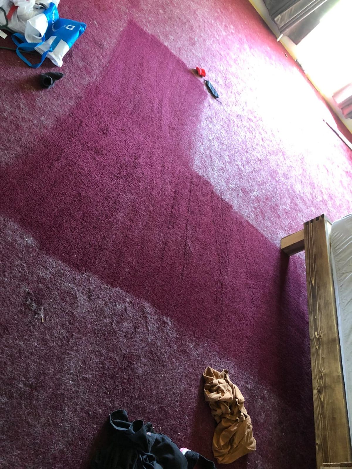 Dyson V11 Animal Cordless Vacuum Cleaner, Purple customer photo 2