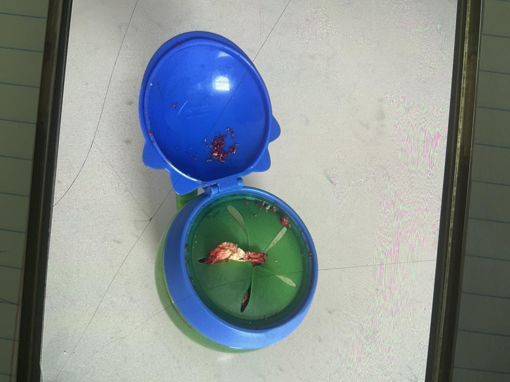 Skip Hop Baby Snack Container, Mealtime Snack Cup, Dino customer photo 1