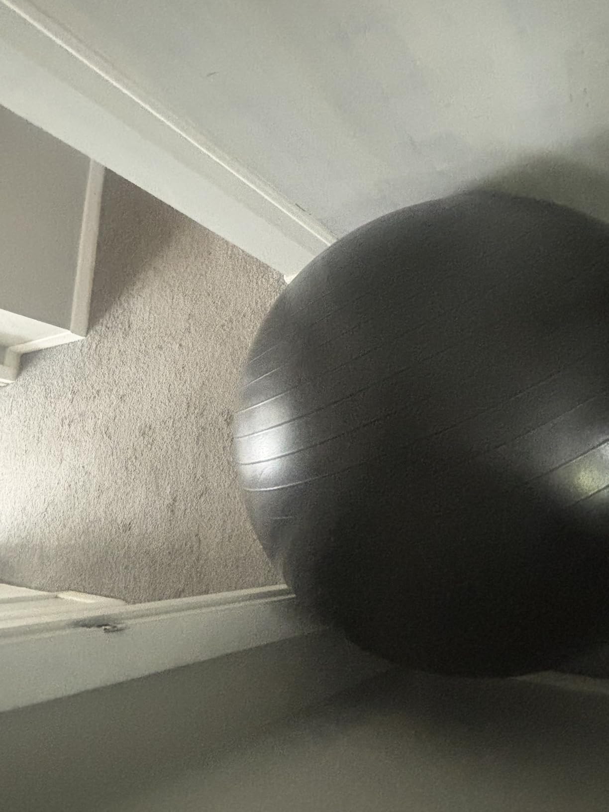 Core Balance Exercise Ball, Stability Ball for Yoga, Pilates and Fitness, Gym Ball for Home Gym and Office Chair, Training, Physical Therapy, Anti Burst, Pump Included, 55cm 65cm 75cm 85cm customer photo 1