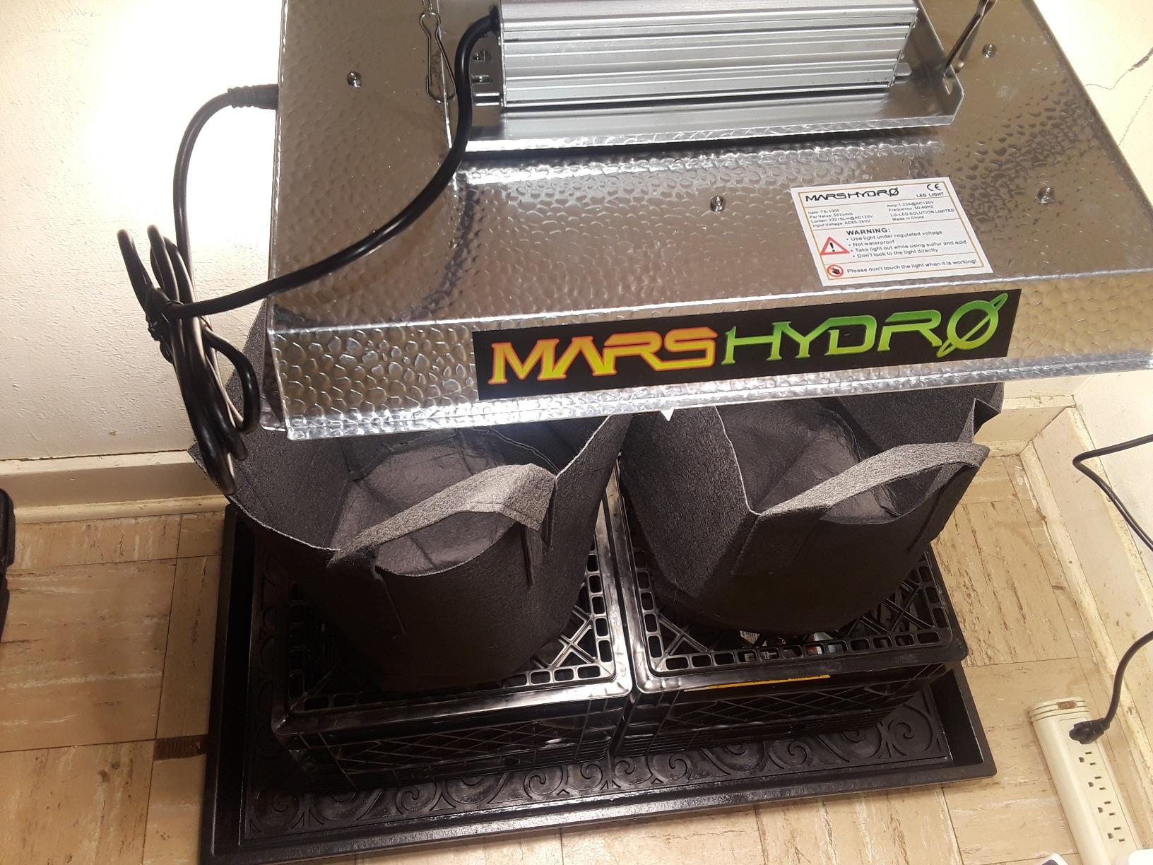 MARS HYDRO 150W TS1000 LED Grow Light for Indoor Plants Full Spectrum customer photo 1