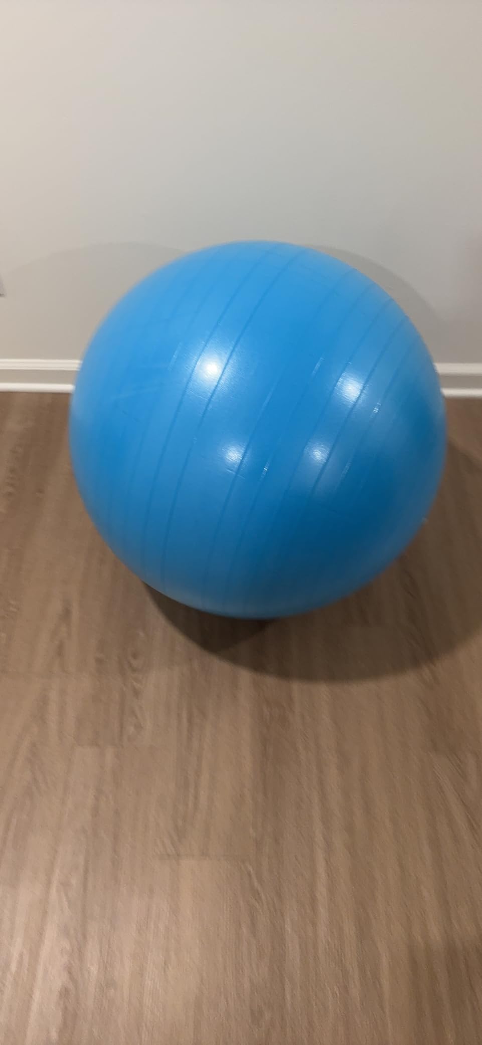 Fitvids Anti-Burst and Slip Resistant Exercise Ball Yoga Ball Fitness Ball Birthing Ball with Quick Pump customer photo 1