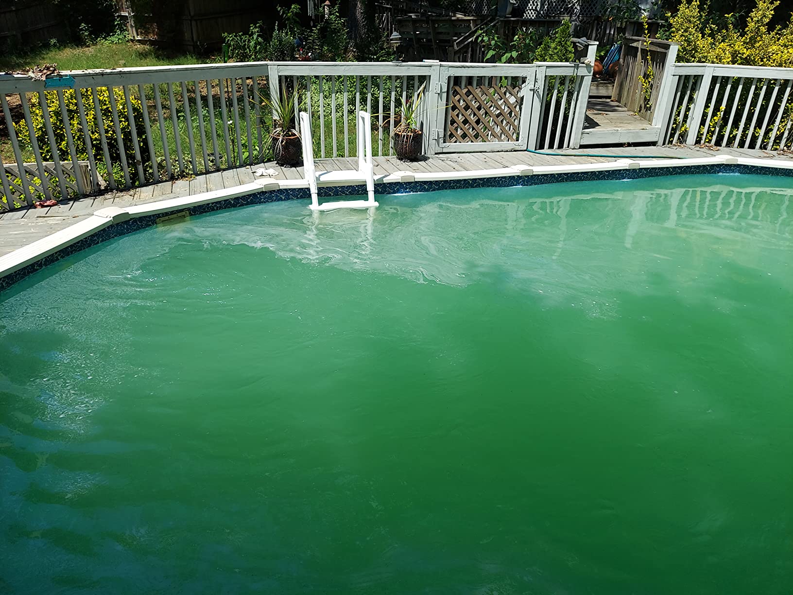 Hayward W3S210T ProSeries Sand Filter, 20 in., Top-Mount for Above-Ground Swimming Pools customer photo 2
