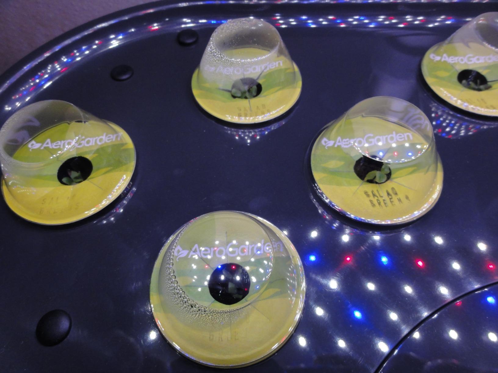 AeroGarden Bounty, Black customer photo 1