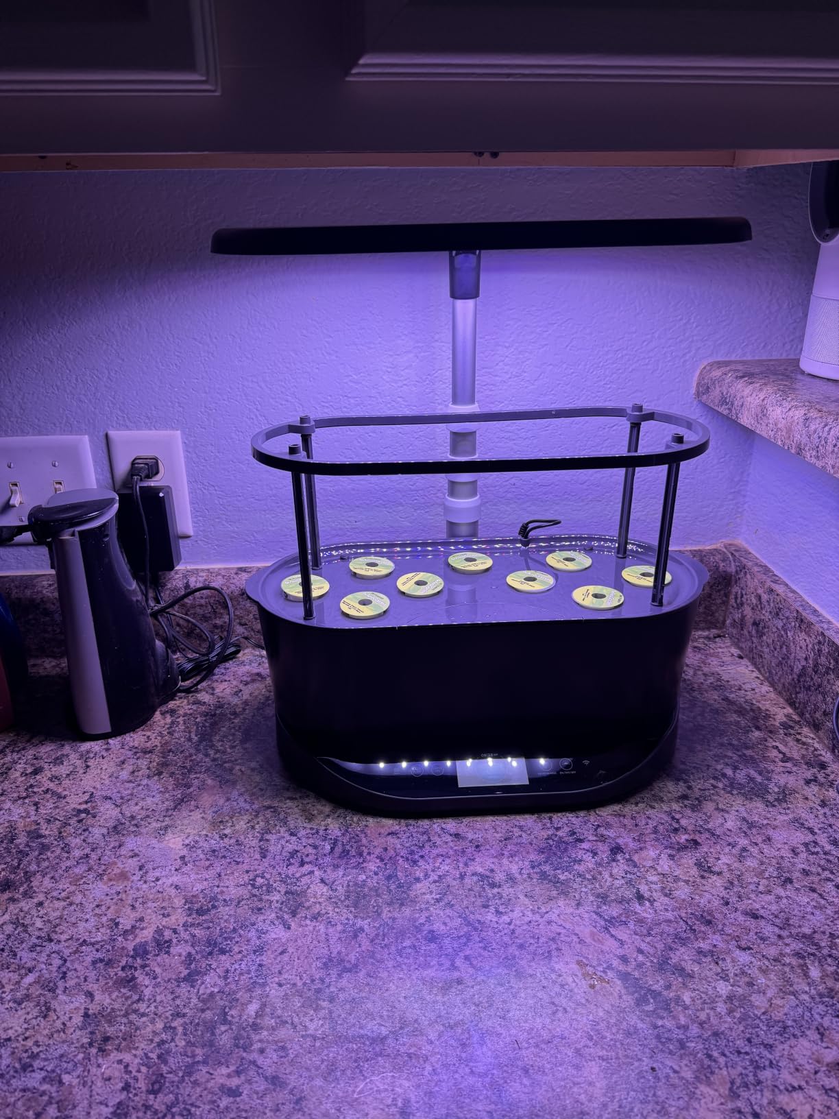 AeroGarden Bounty, Black customer photo 2
