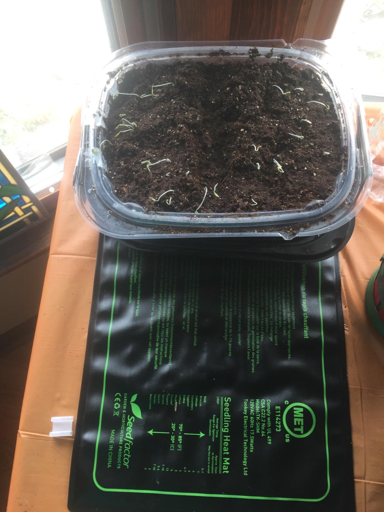 MET Certified Seedling Heat Mat with 50℉~108℉ Digital Thermostat Controller for Seed Germination (20