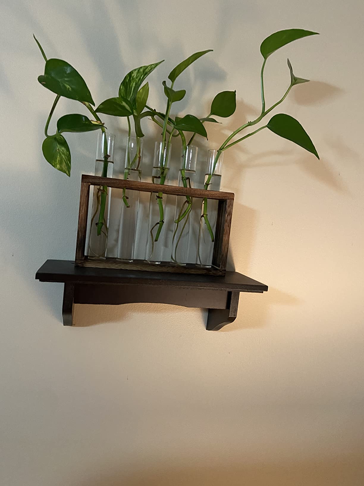 Propagation Station, Plants Terrarium, Plants Lover Gifts for Women,Plant Cutting Holder Home décor,Gifts for Women,House Warming New Home-5 Tubes-Brown customer photo 2
