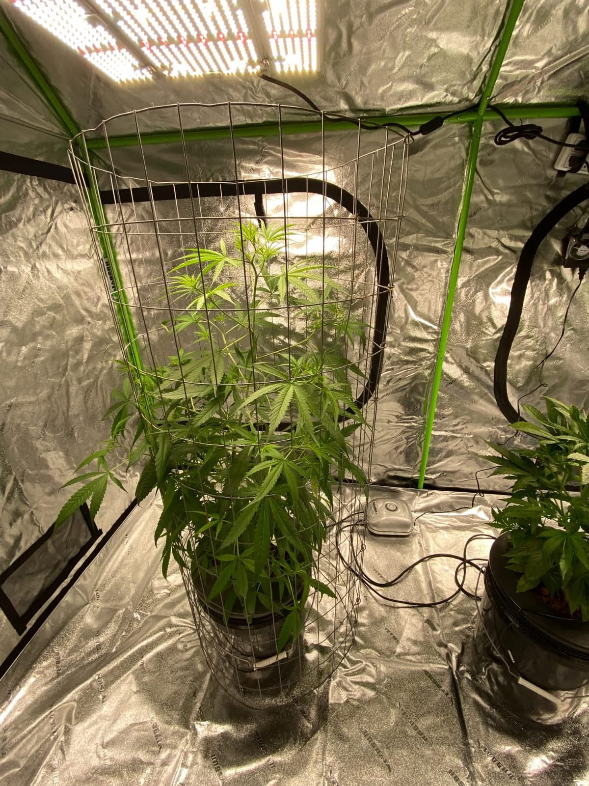 VIVOSUN R446 4x4 Grow Tent 48
