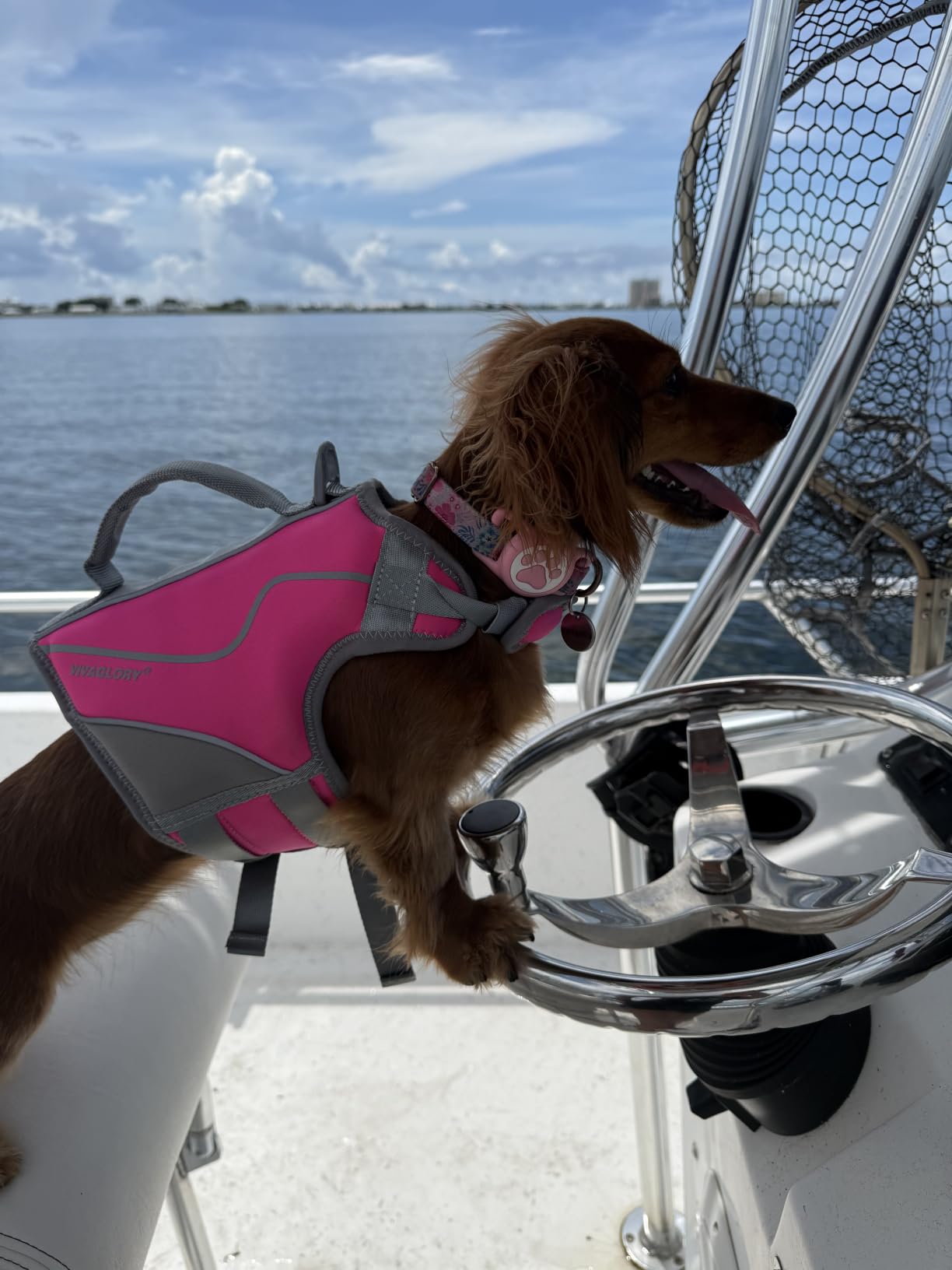 VIVAGLORY Dog Life Vest Neoprene Dog Swim Vest, S, Pink customer photo 1