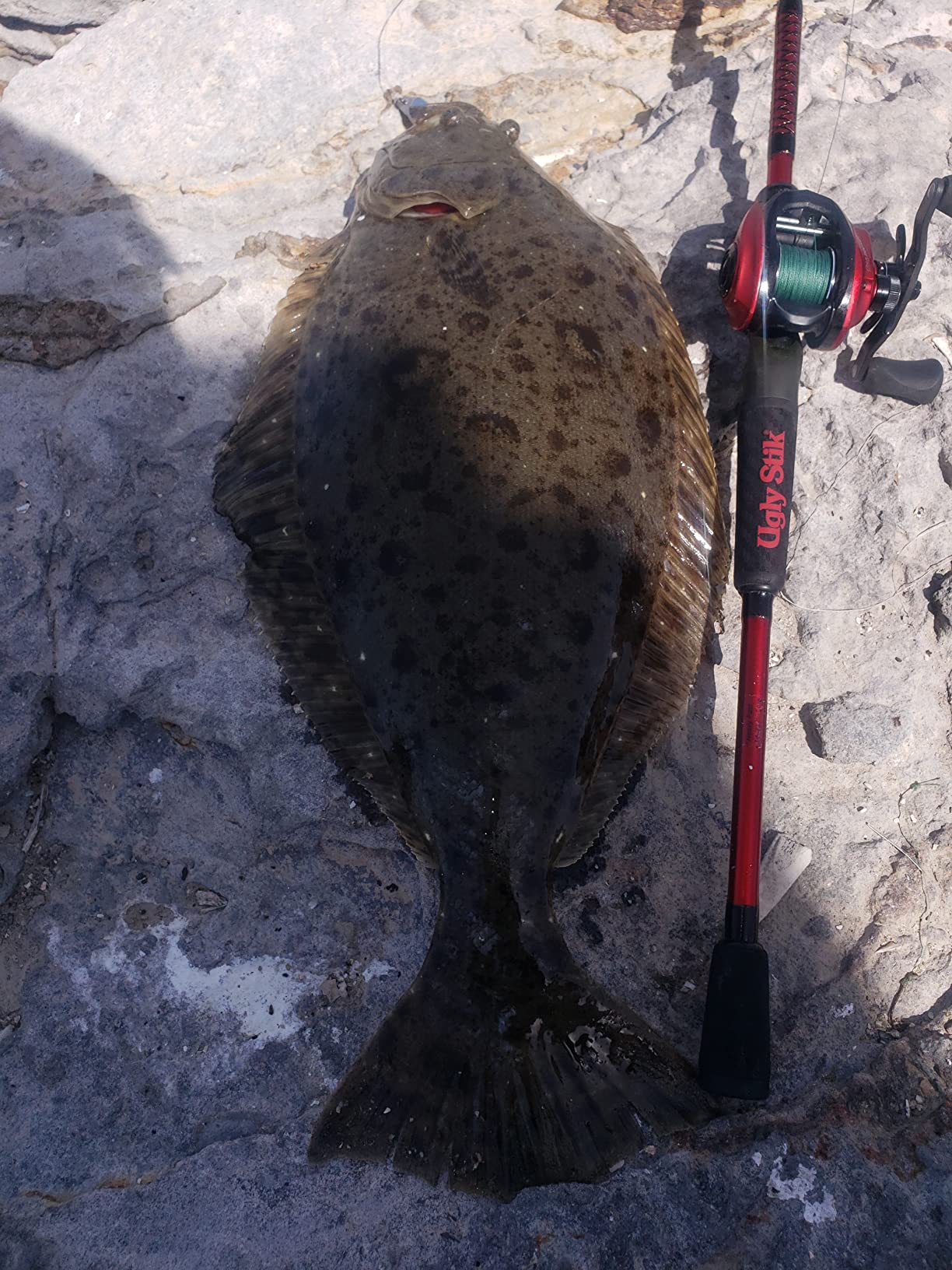 Ugly Stik Carbon Casting Fishing Rod customer photo 2