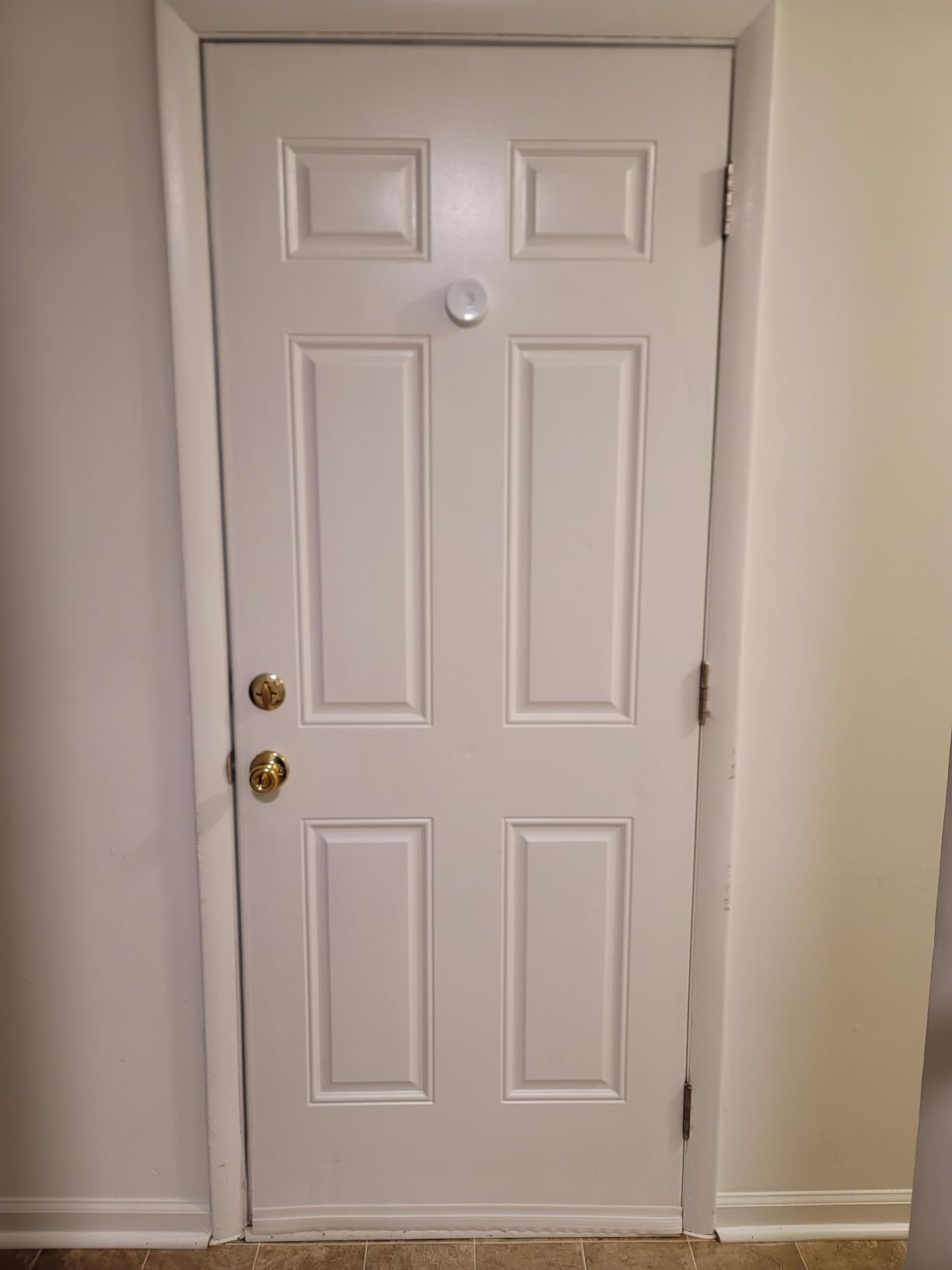 Grotheory 2 Pack Door Draft Stopper, Door Sweep, Weather Stripping Seal customer photo 1