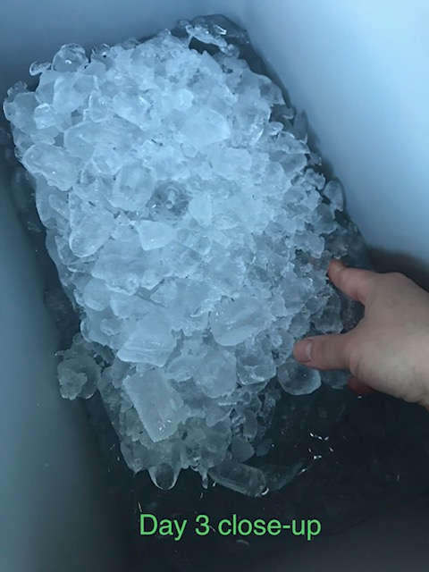 Igloo BMX Cooler | Insulated Hard Shell Ice Chest customer photo 2
