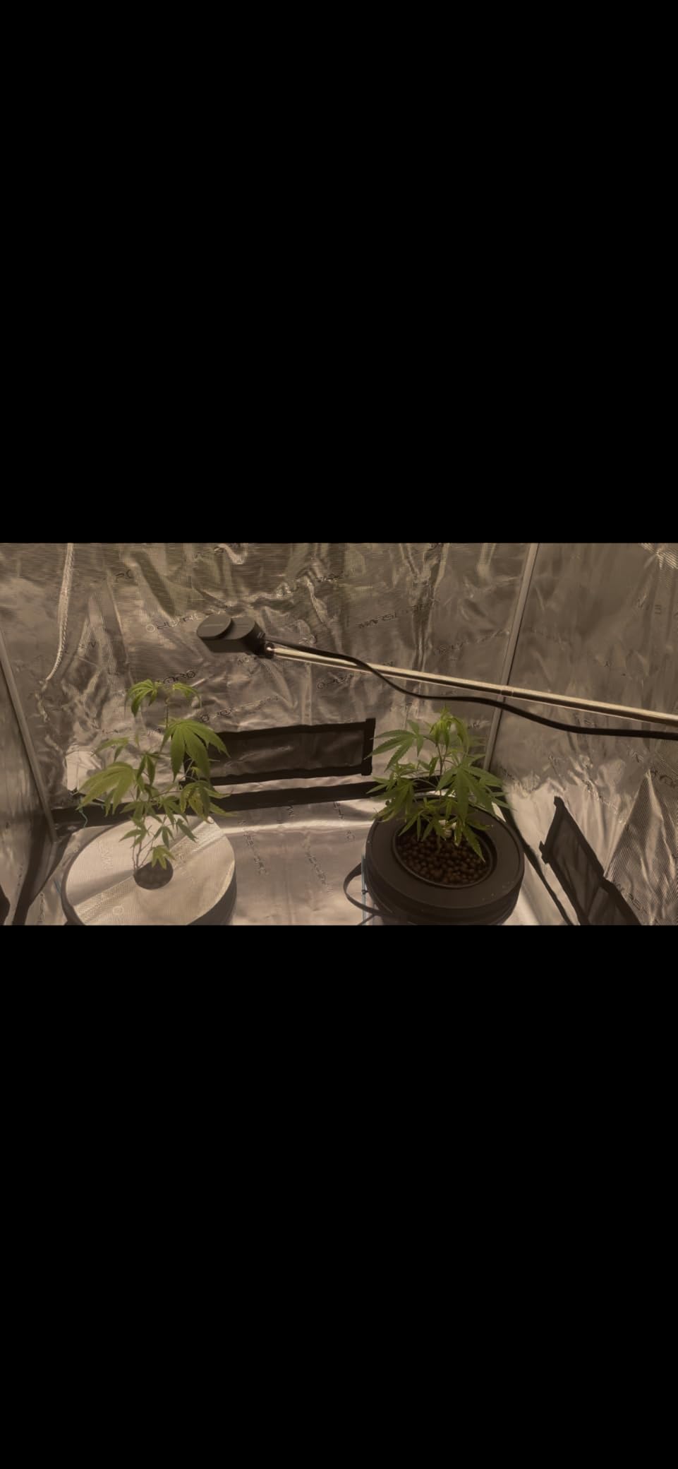 MARS HYDRO 2x2 Advanced Grow Tent, 24