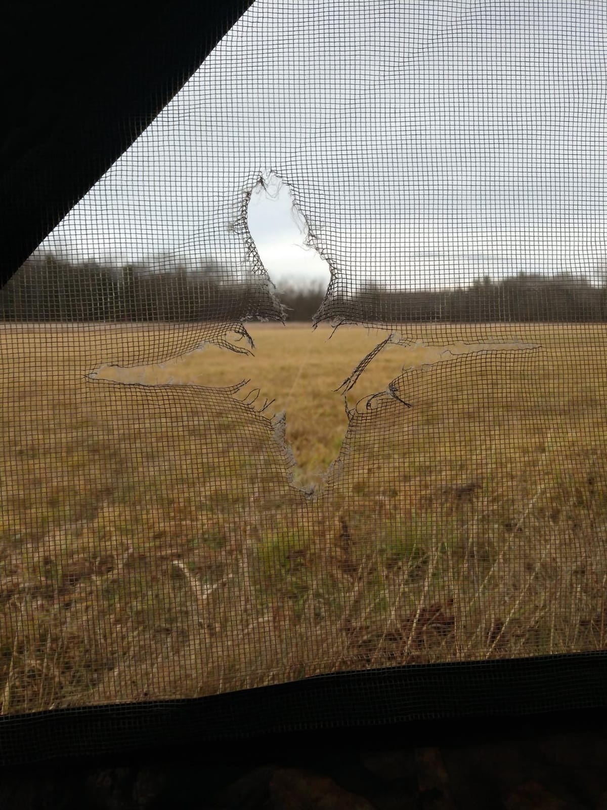 Ameristep Care Taker Ground Blind, Mossy Oak Break Up Country, Model: None customer photo 2