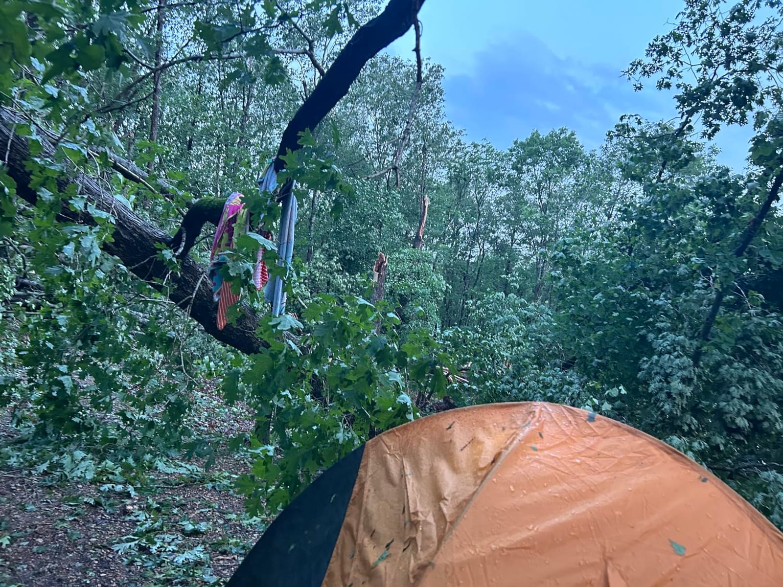 Kelty Grand Mesa 2P or 4P Backpacking Tent – 3 Season Camping, Thru Hiking Shelter, Aluminum Pole Frame, Single Door + Vestibule Model customer photo 1