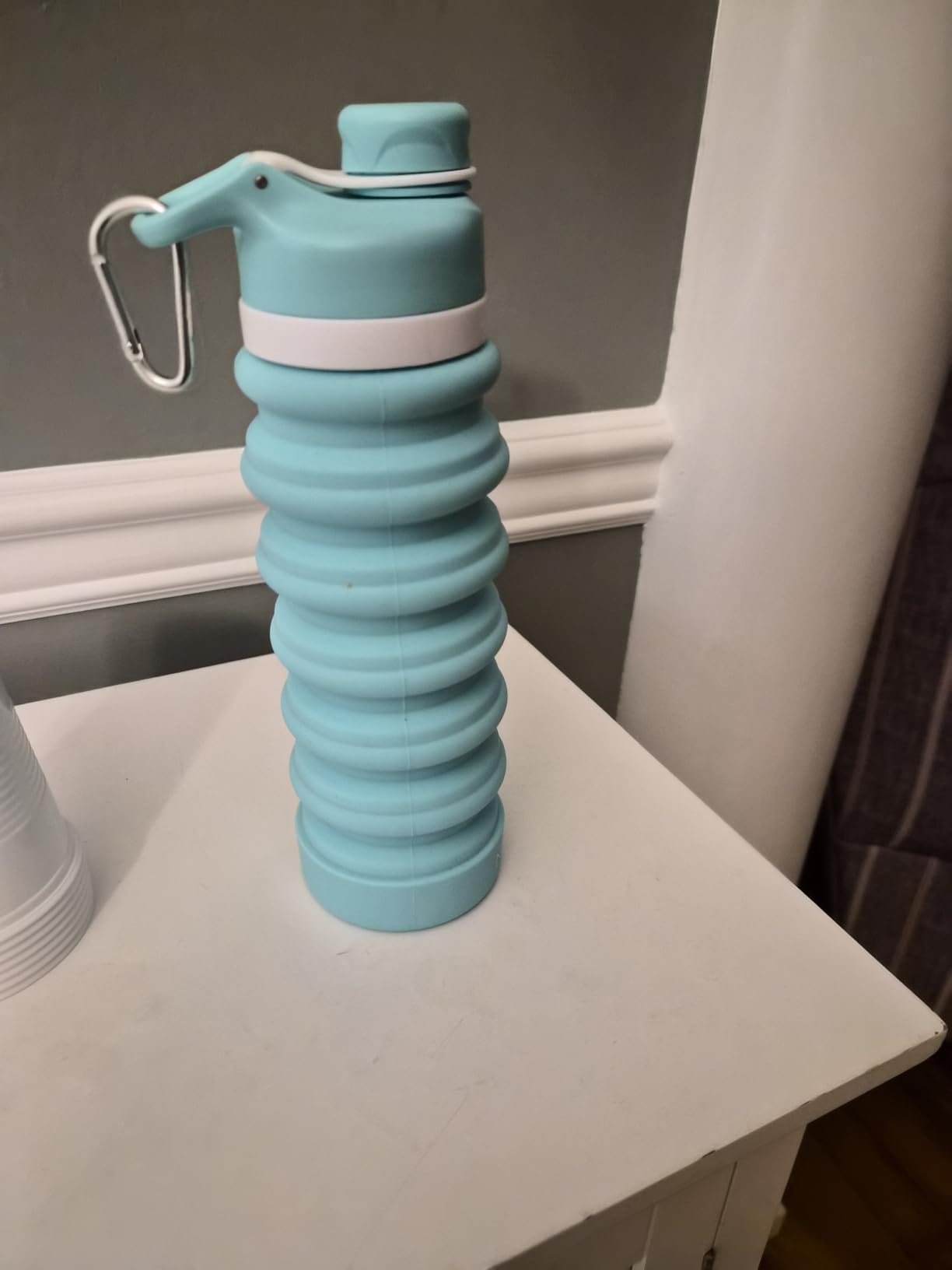 Nefeeko Collapsible Water Bottle, 26oz Silicone Foldable Water Bottles customer photo 1