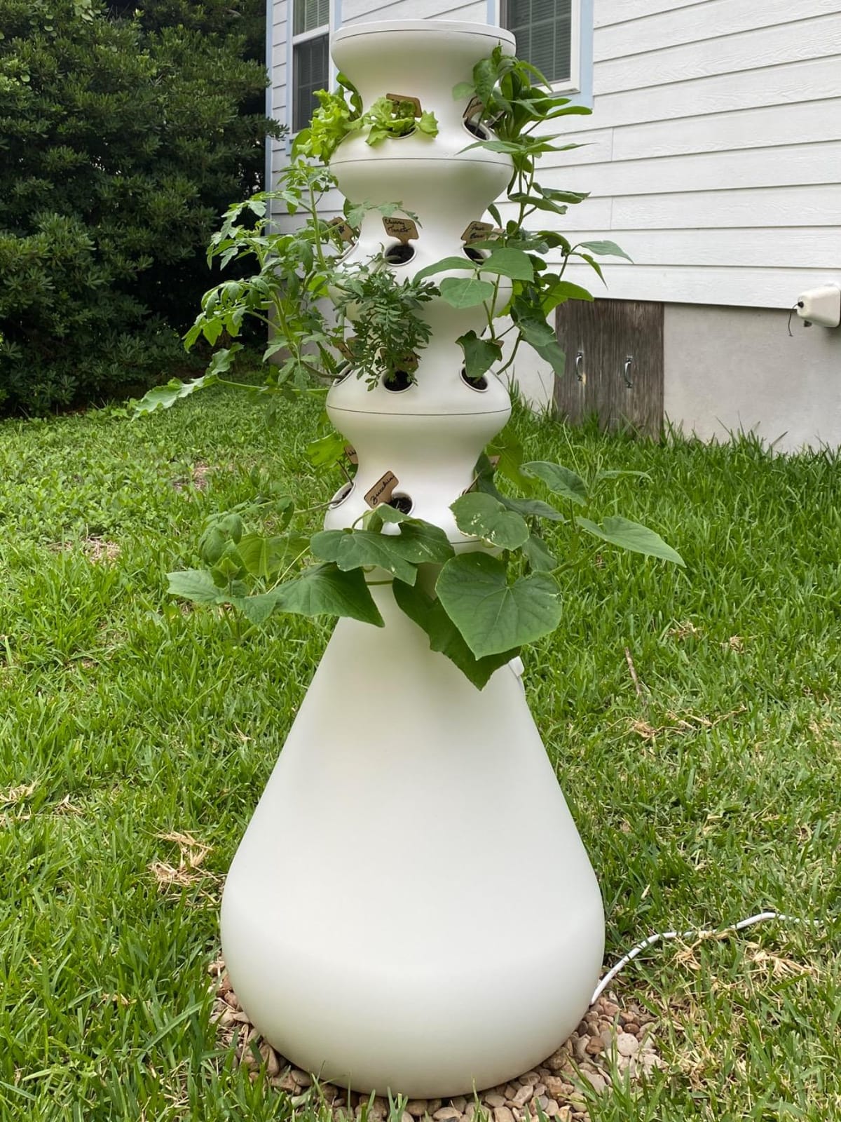 Lettuce Grow Farmstand Hydroponic Growing System, 24-Plant Indoor/Outdoor Vertical Garden, BPA-Free Food Grade, Made in USA customer photo 1