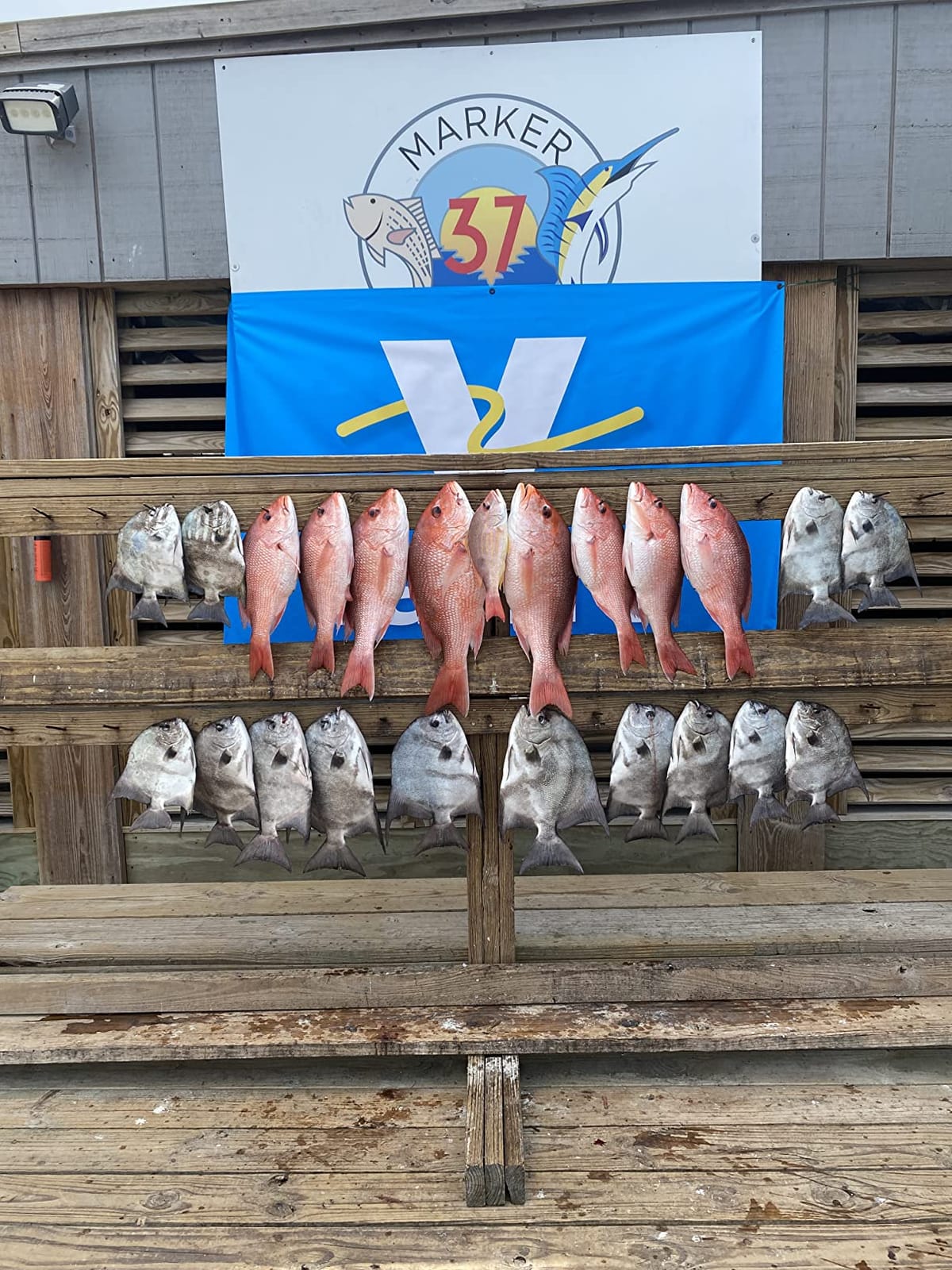 Pack Fishcooler 40