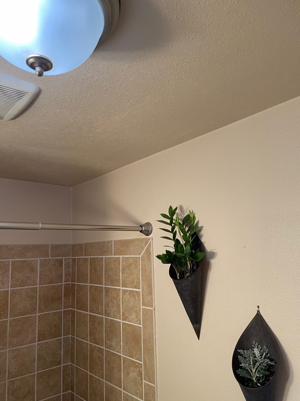 3 Pack Full Spectrum Grow Light Bulbs,A19 Grow Lights for Indoor Plants,Dimmable E26 9W Grow Bulb Replace up to 100W,Plant Lights for Indoor Growing,Flowers,Greenhouse,Indore customer photo 2