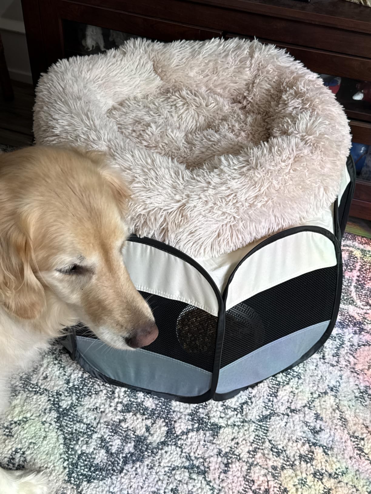 Cat Bed for Indoor Cats,Mini Plush Self Warming Kitten Bed, 20 Inch customer photo 1