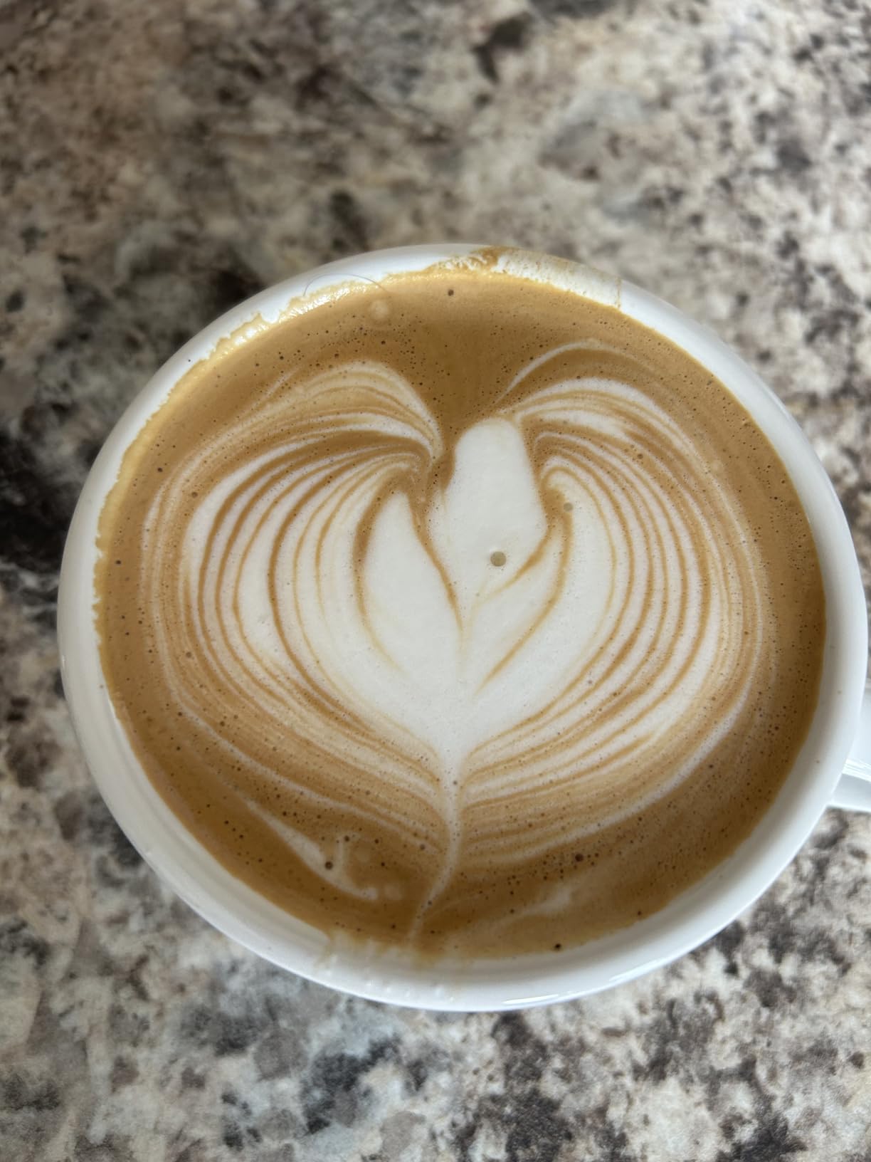 Gaggia RI9380/51 Classic Evo Pro Espresso Machine, Industrial Grey, Small customer photo 2