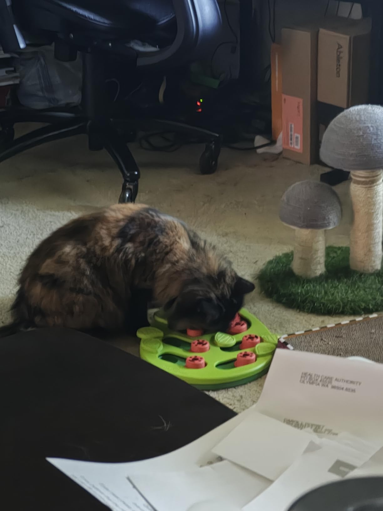 Catstages Nina Ottosson Buggin’ Out Puzzle & Play Cat Toy Treat Puzzle, 14