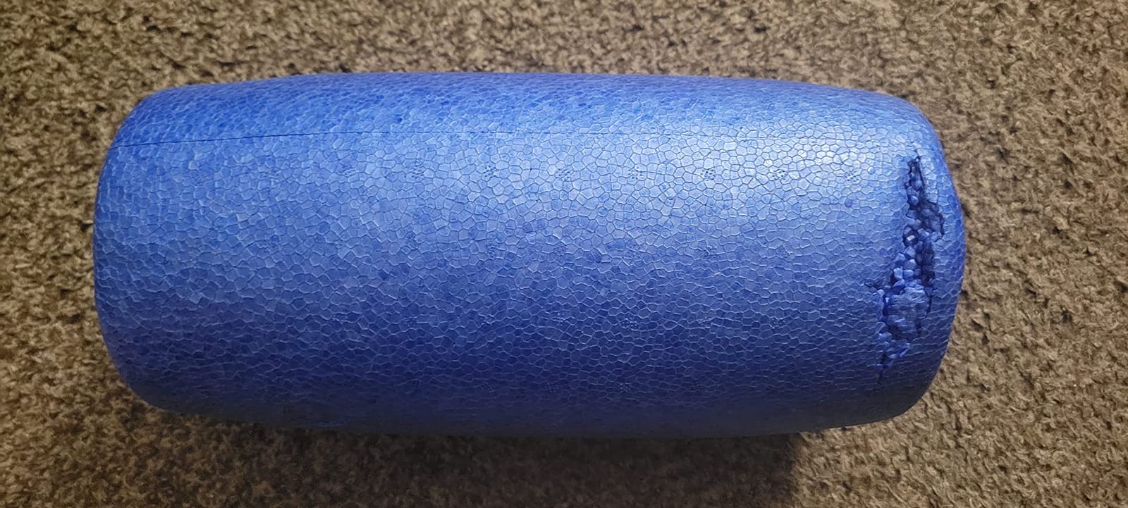 Yes4All High-Density EPP Round Back Roller Foam, Exercise Foam Roller for Yoga, & Pilates, Multiple Sizes and Colours, Blue - 24 inches customer photo 1