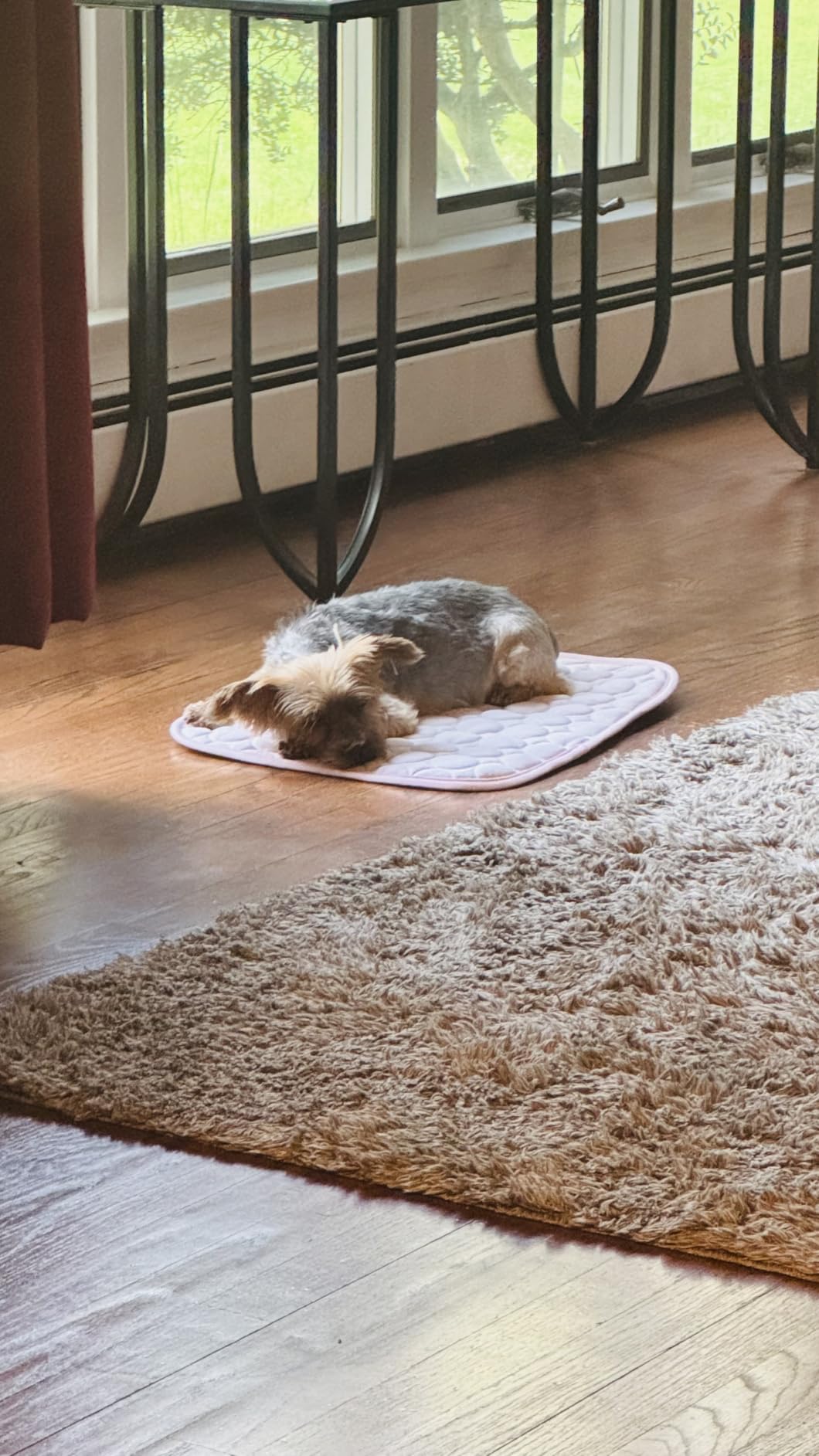 MICROCOSMOS Summer Cooling Mat & Sleeping Pad- Water Absorption Top, Materials Safe, Easy Carry, EZ Clean. Keep Cooling for Pets, Kids and Adults.(Blue, 28