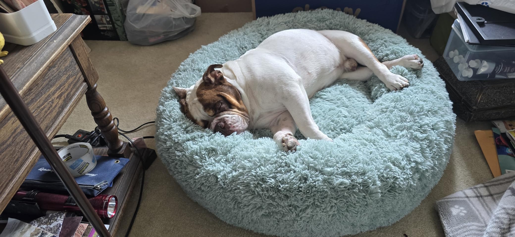 Bedsure Calming Dog Bed Medium Size Dog Donut Washable Pet Bed,30ins Camel customer photo 2