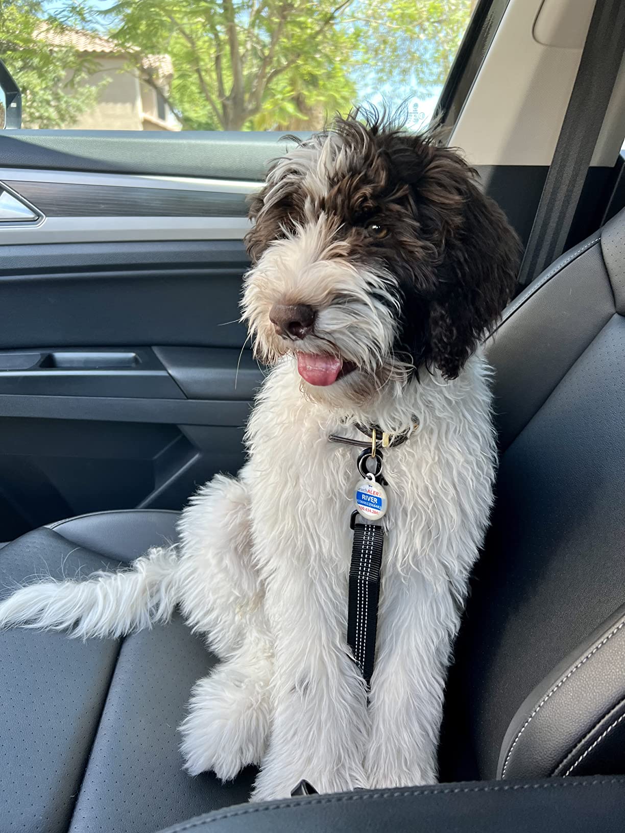 SlowTon Dog Car Seat Belt, 3 in 1 Latch Bar Attachment Dog Safety Seatbelt customer photo 2