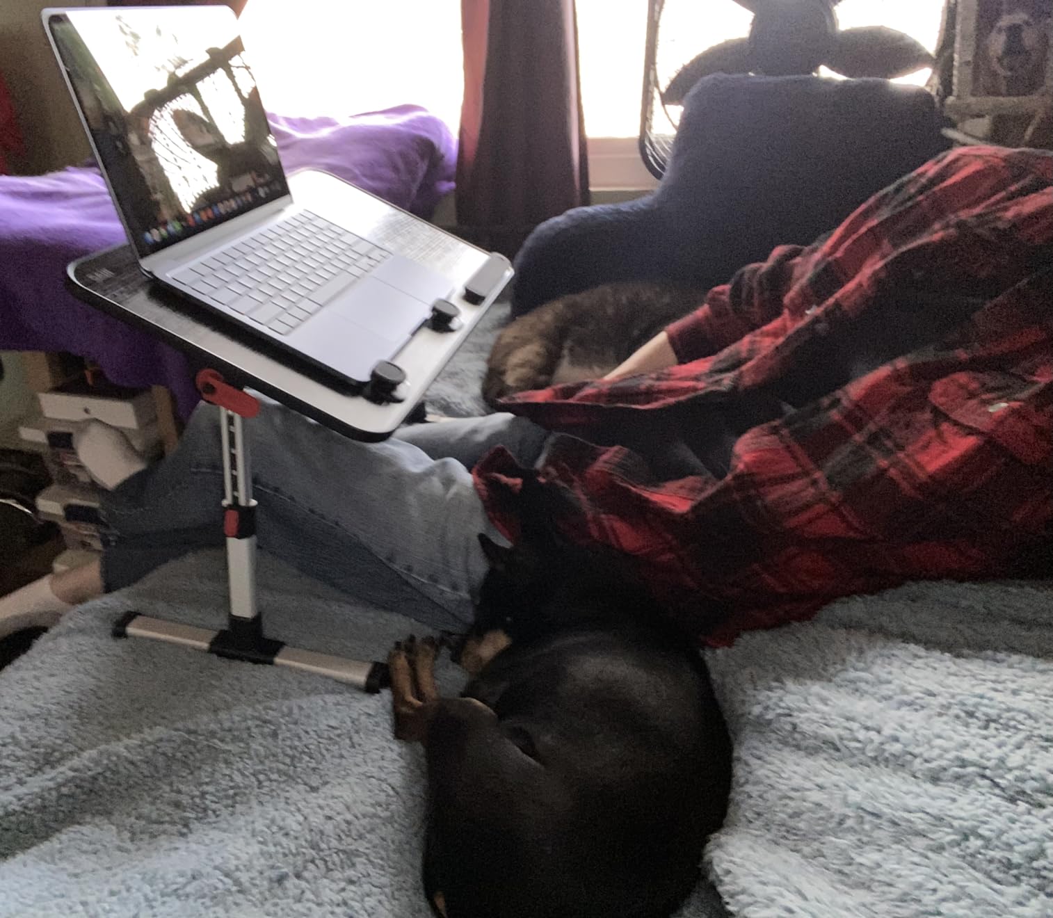 Laptop Desk Table, SAIJI Adjustable Laptop Stand, Portable Lap Desks customer photo 1