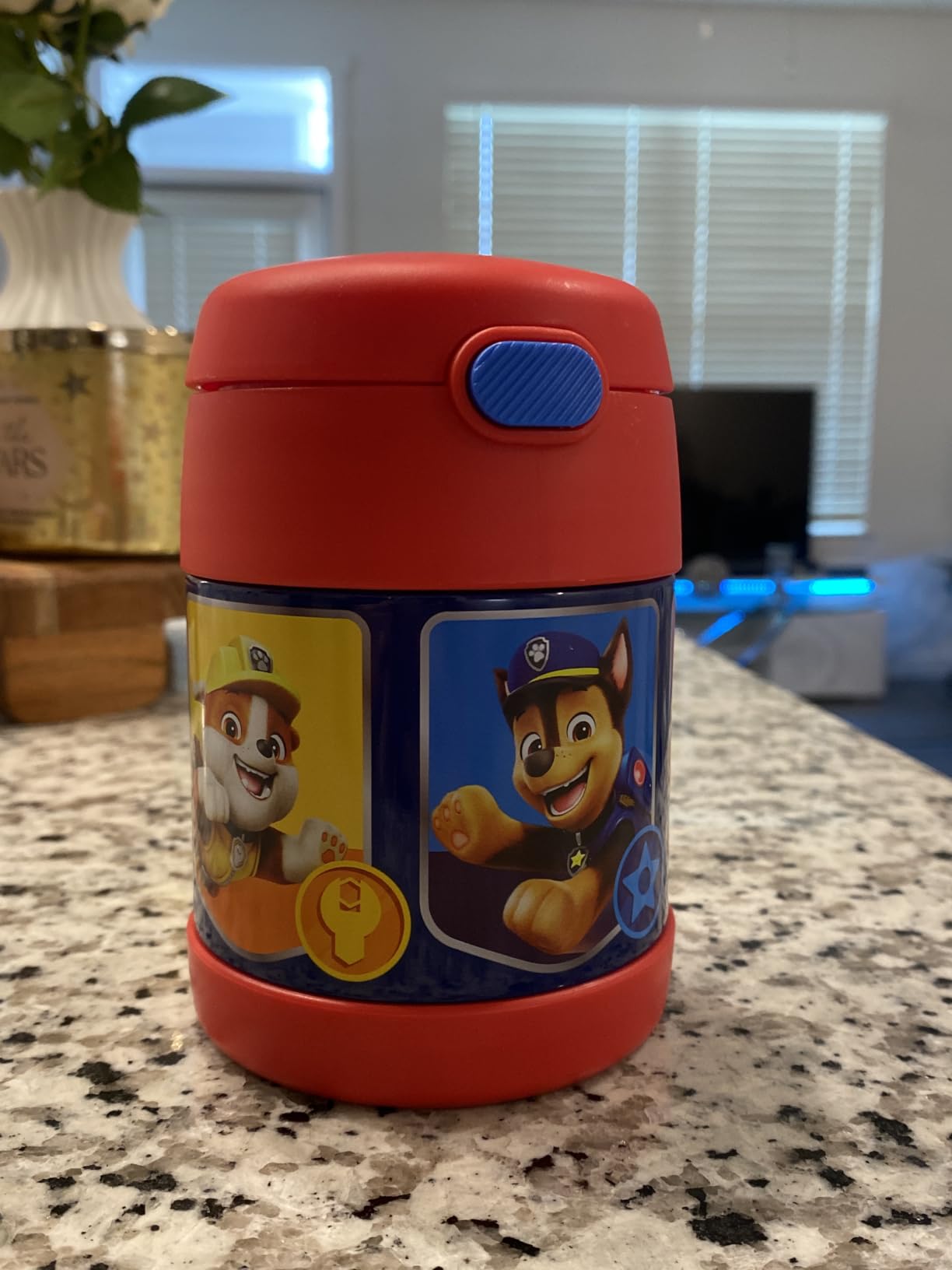 THERMOS FUNTAINER Kids Food Jar with Spoon, 10oz, Teal customer photo 2
