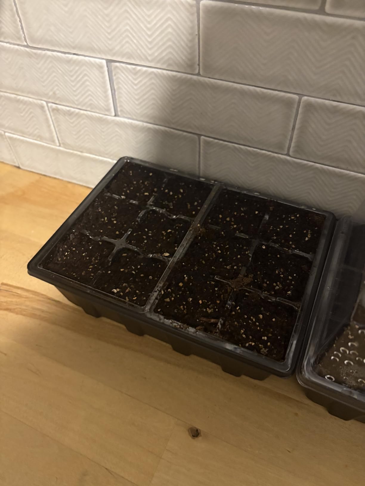 Gardzen 3 Pack Seed Starter Tray Germination Kit, Seed Starter Kit with Adjustable Humidity Dome, Plant Growing Kit 6.6