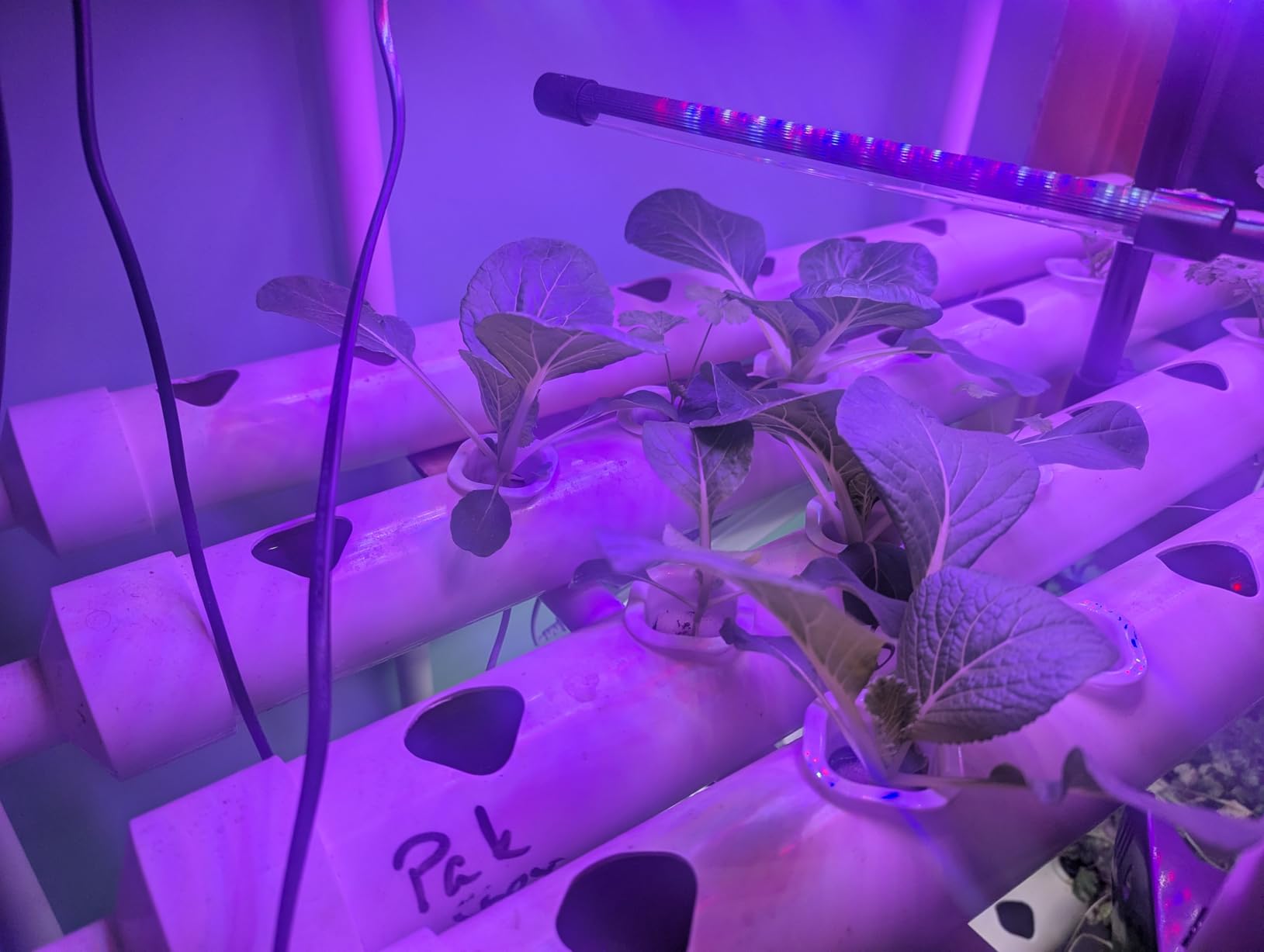 Hydroponics Growing System Kit 36 Plant Sites Food-Grade PVC-U Pipes Hydroponic Grow Kit Gardening System for Vegetables,Fruits,Herb customer photo 1