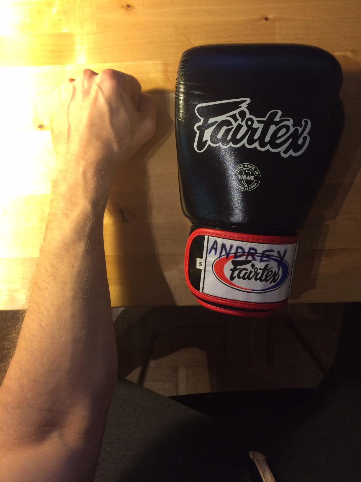 Fairtex BGV1 Muay Thai Boxing Training Sparring Gloves for Men, Women, Kids| Premium Quality, Light Weight & Shock Absorbent Boxing Gloves customer photo 2
