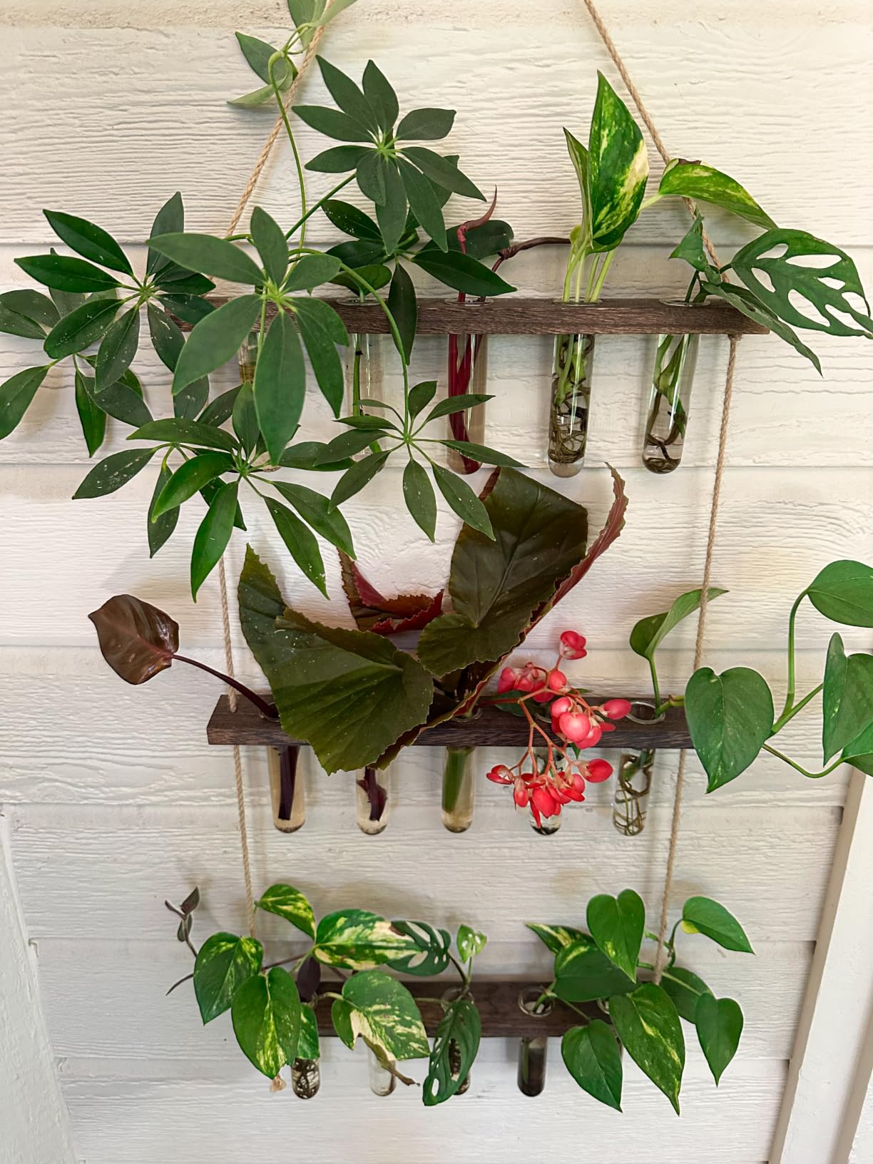 Mkono Plant Propagation Station, 3 Tier Brown Wall Hanging Vase Test Tubes customer photo 1
