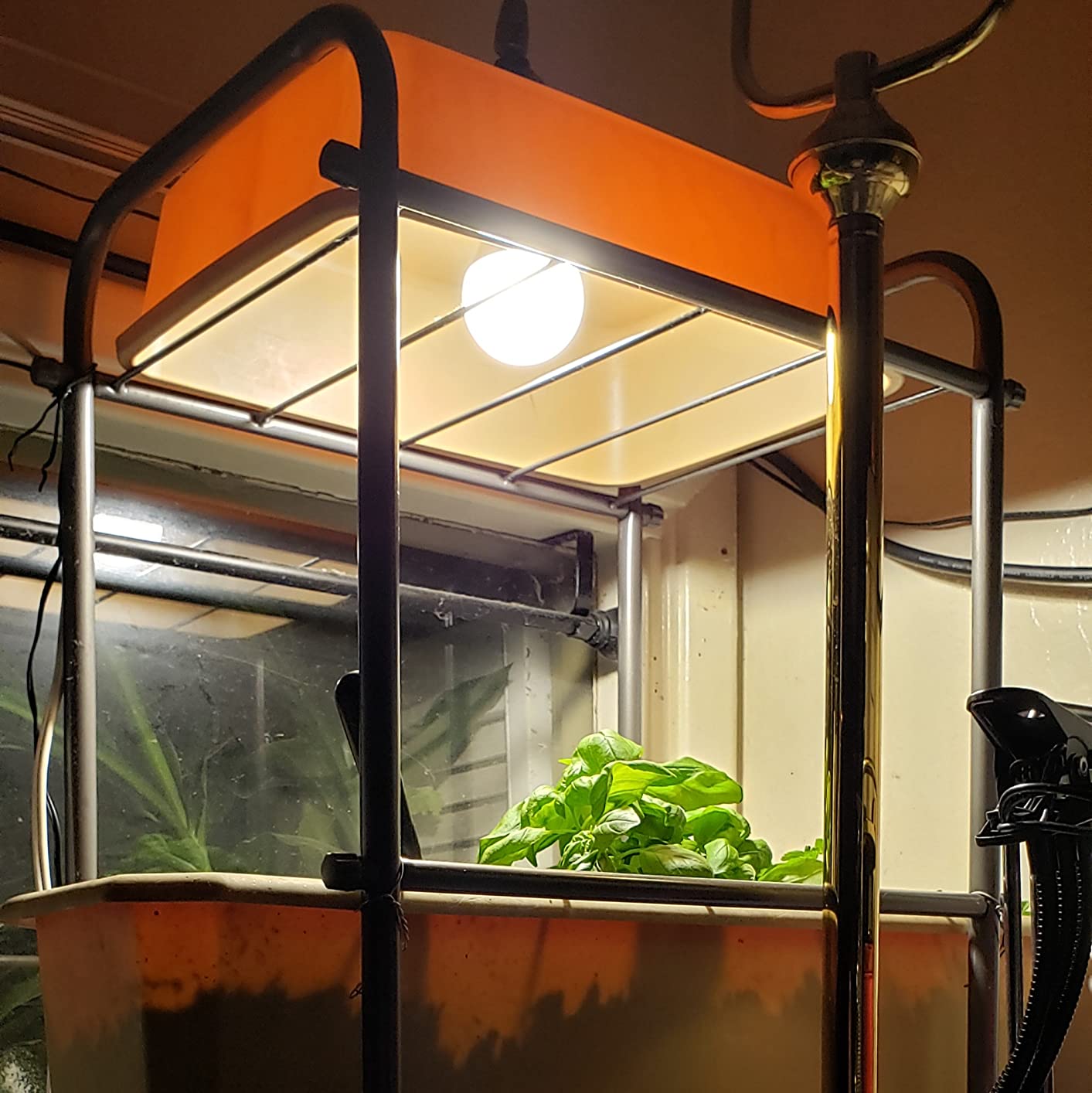 Briignite Grow Light Bulbs, LED Grow Light Bulb A19 Bulb, Full Spectrum customer photo 1