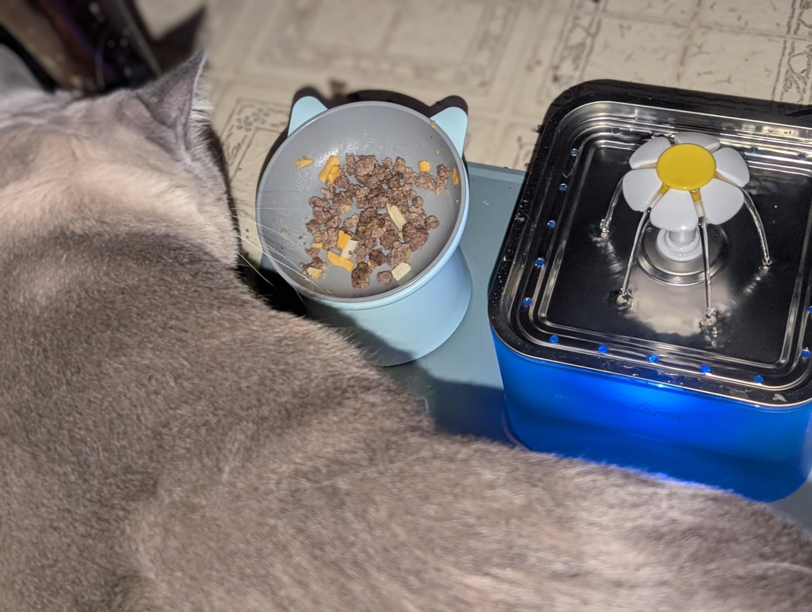 Wonder Creature Crystal Cat Water Fountain Stainless Steel Lid, 101oz/3L customer photo 2