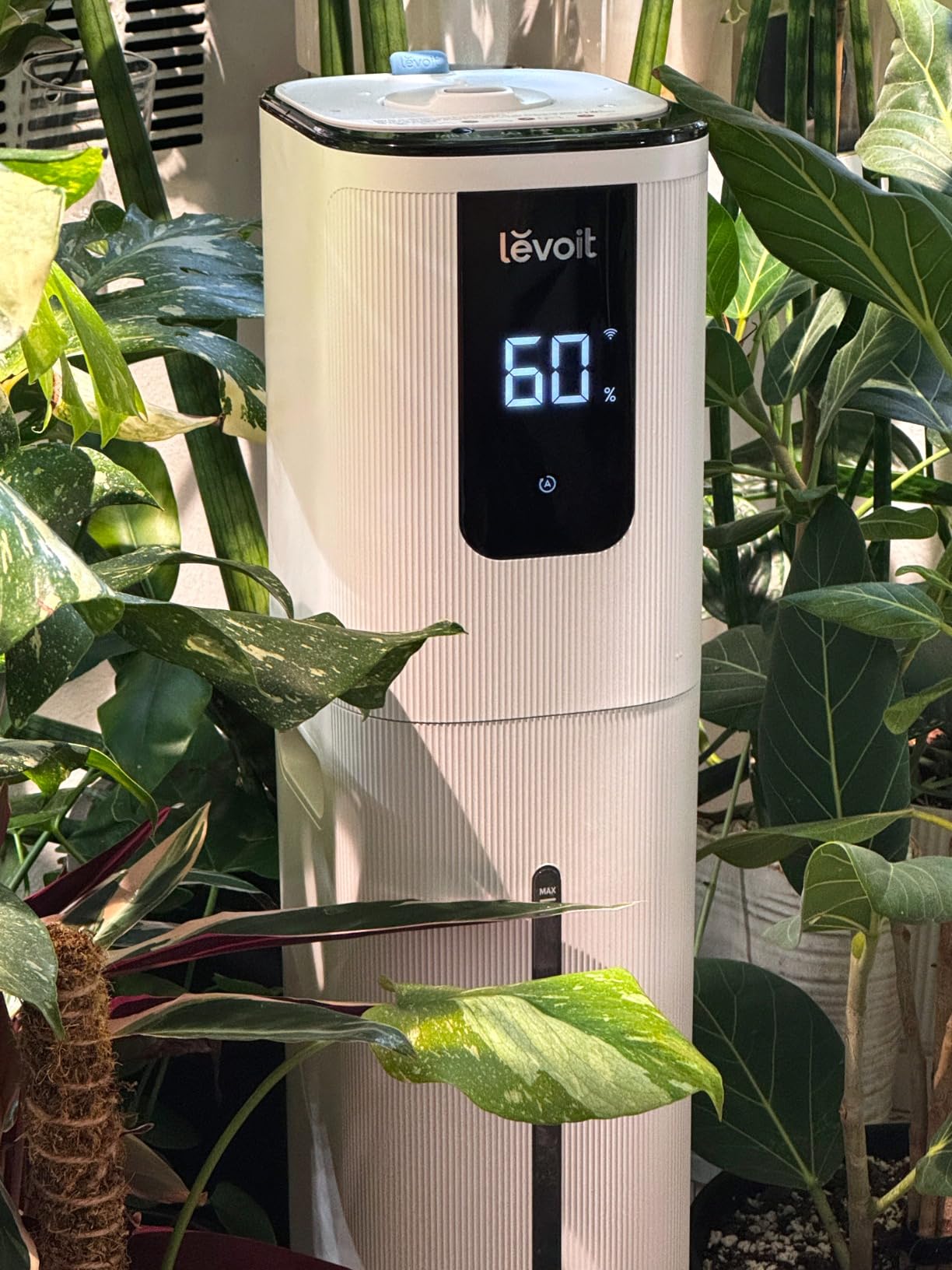 Levoit LV600S Smart Warm&Cool Mist Humidifiers for Home Bedroom Large Room customer photo 1
