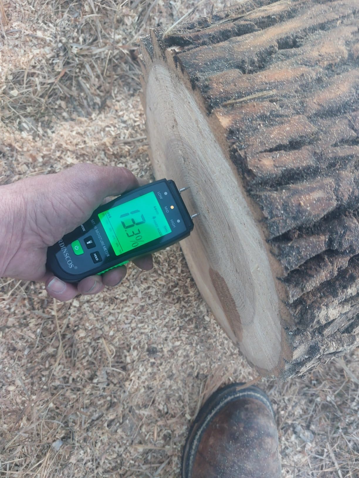RDINSCOS Wood Moisture Meter for Firewood, Softwood, Hardwood customer photo 1