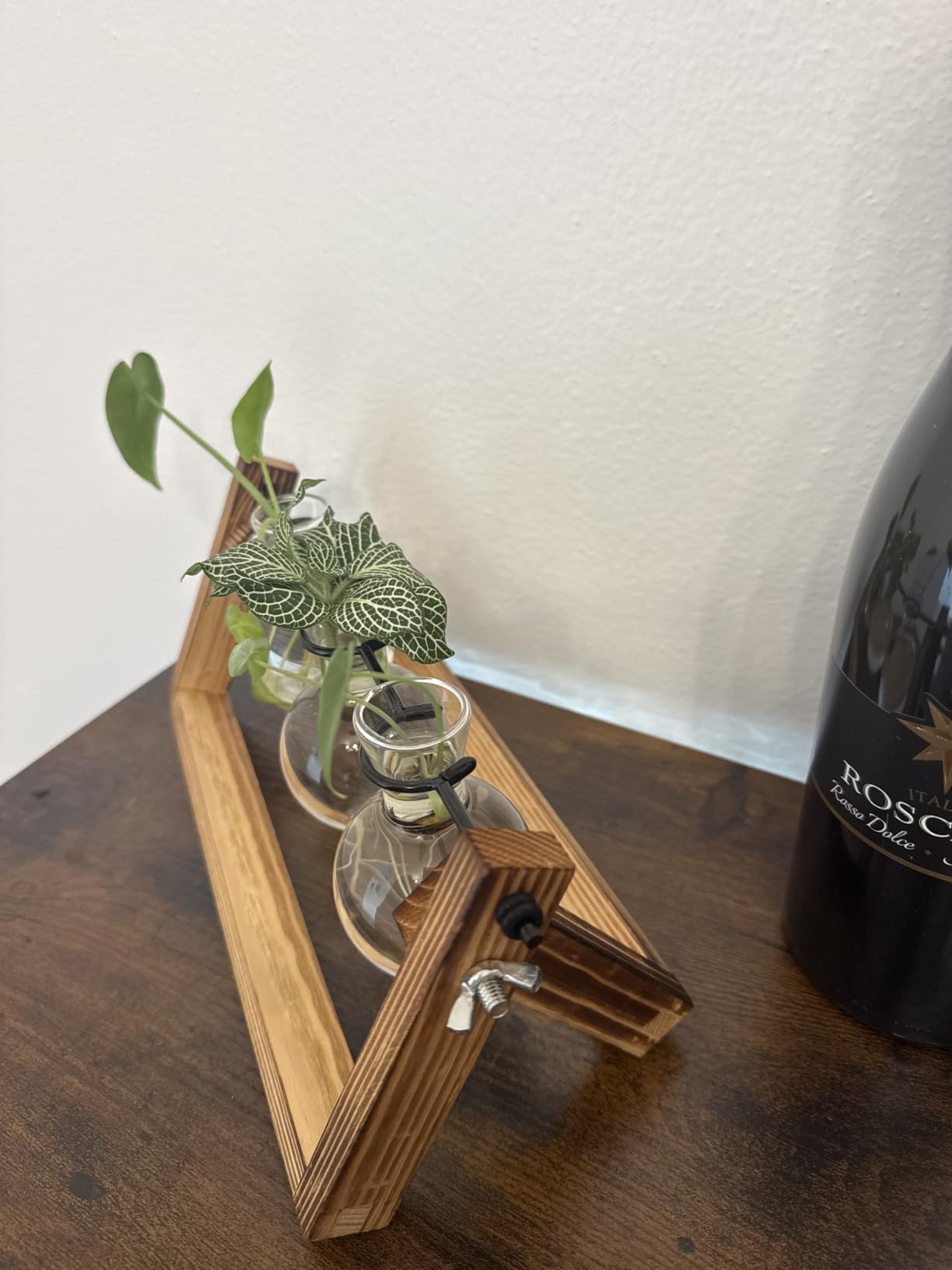 Renmxj Plant Propagation Station, Plant Terrarium with Wooden Stand customer photo 2