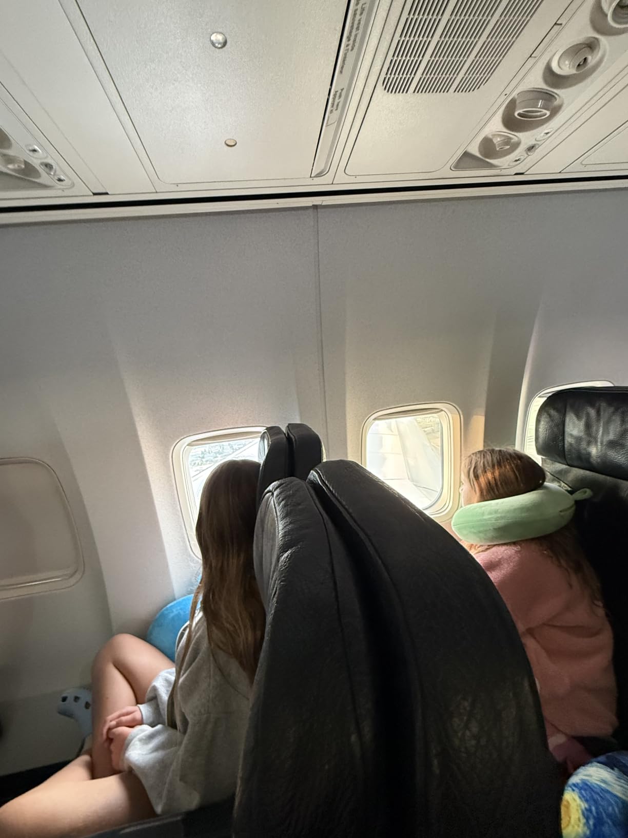 Neck Pillows for Sleeping, Memory Foam Travel Pillow, Pink customer photo 1