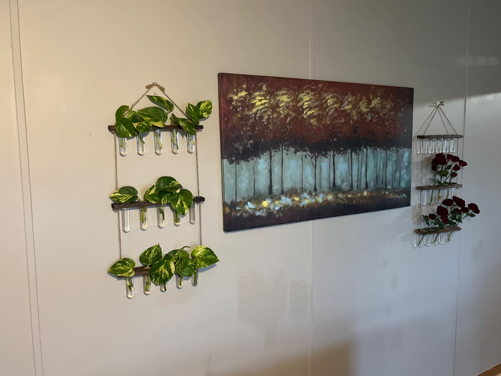3 Tier Wall Hanging Propagation Stations with 15 Glass Test Tubes, Plant Terrarium Propagation Tubes Planter for Hydroponic Cuttings, Window Decor Gift for Plant Lovers customer photo 1
