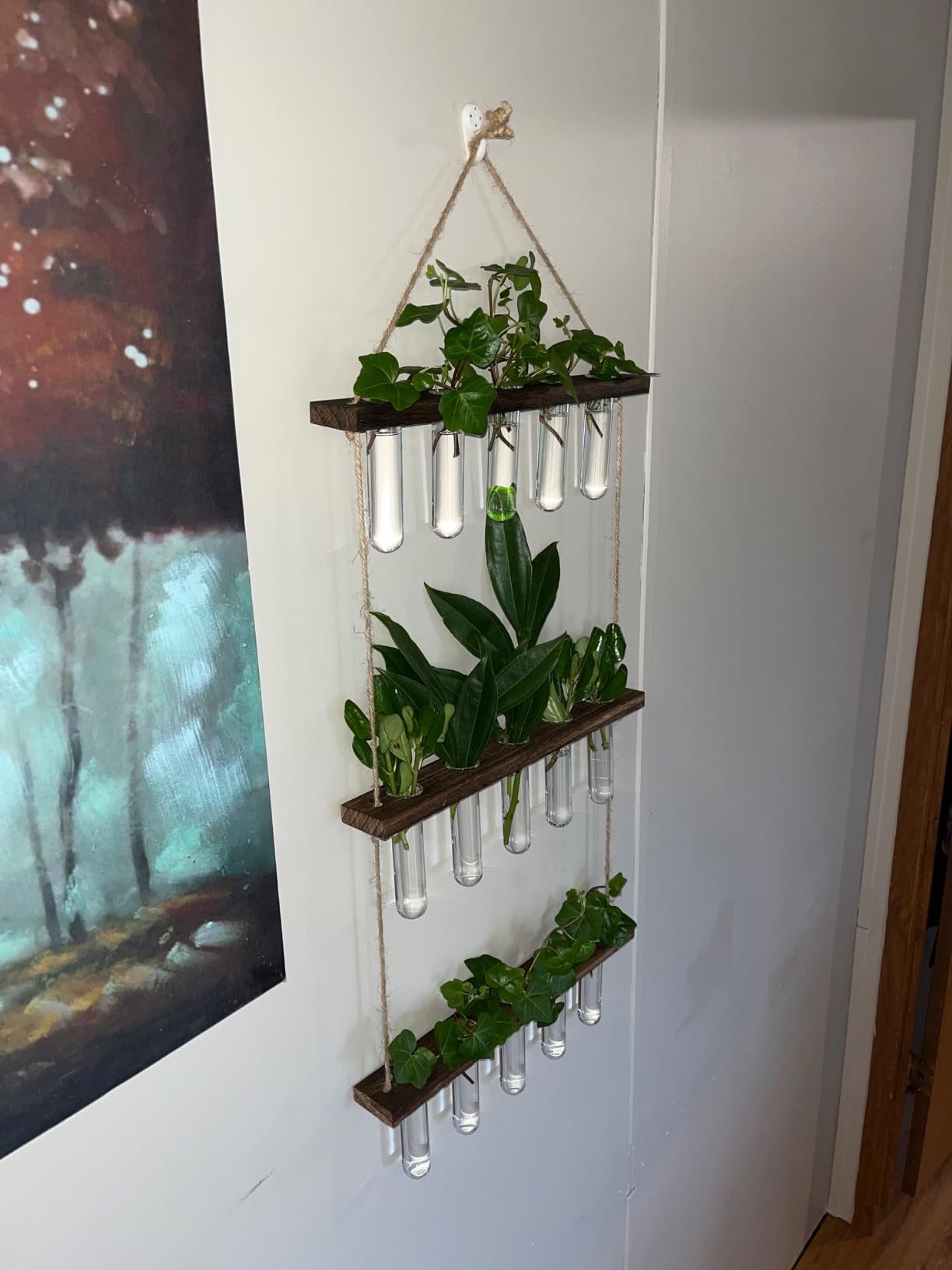 3 Tier Wall Hanging Propagation Stations with 15 Glass Test Tubes, Plant Terrarium Propagation Tubes Planter for Hydroponic Cuttings, Window Decor Gift for Plant Lovers customer photo 2