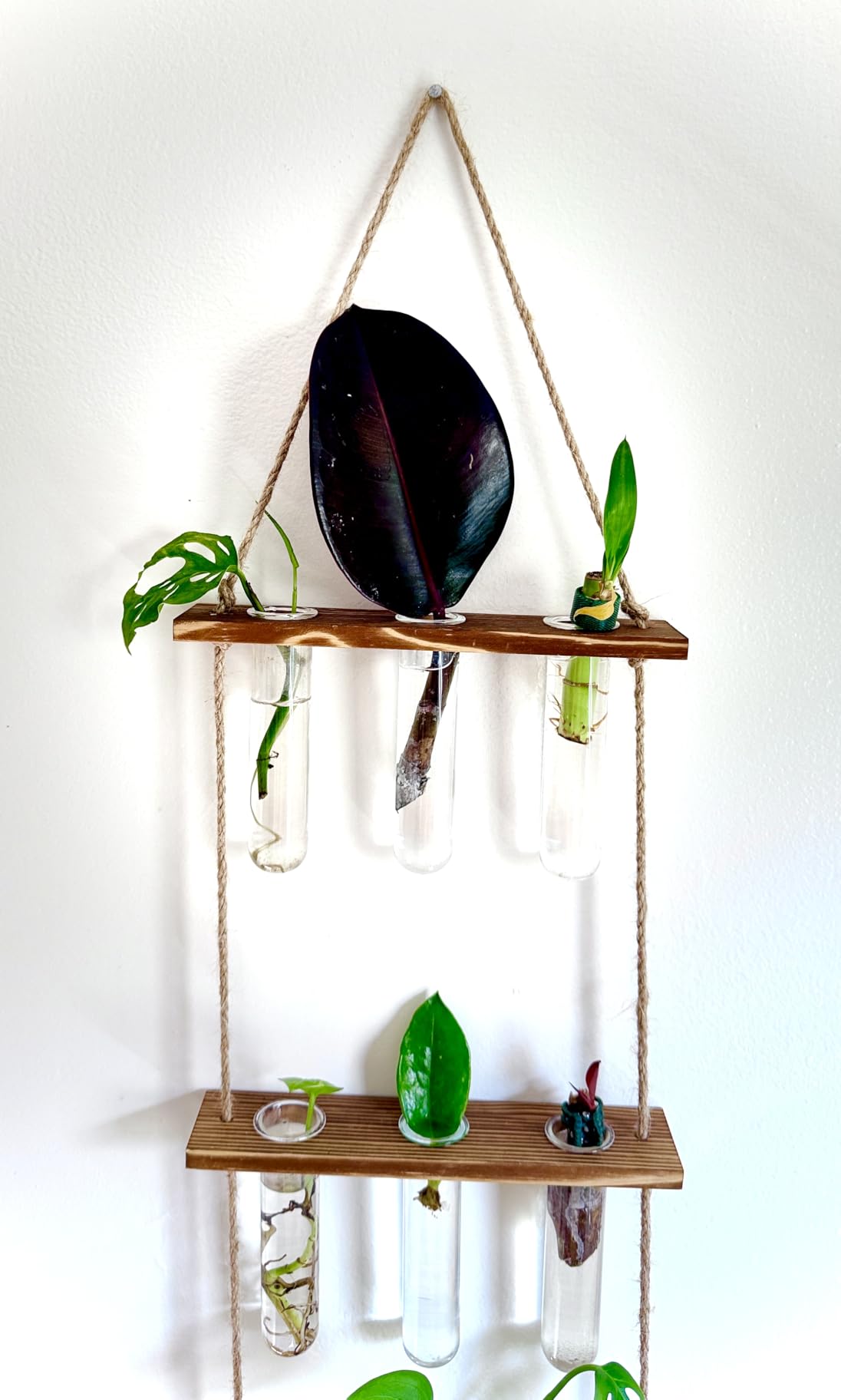 XXXFLOWER Wall Hanging Propagation Station with Wooden Stand Glass Test Tubes Tiered Planters Wall Terrarium for Home Office Plant Hanger Flower Vases Wall Decor Hydroponic Cuttings (9 Tube Vases) customer photo 1