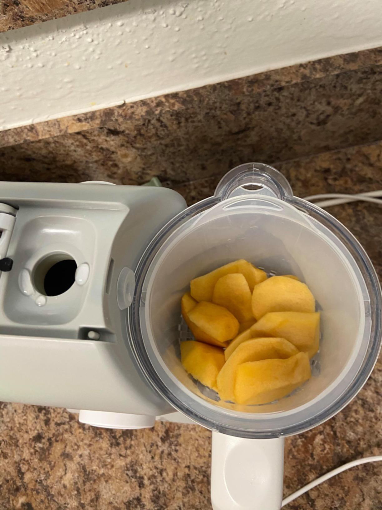 BEABA Babycook Solo 4 in 1 Baby Food Maker, Puree Steamer and Blender for Purees, Grinder with Auto Steam Cooking, Lrg Capacity 4.5 Cups 27 Servings in 20 Mins, Eucalyptus customer photo 2