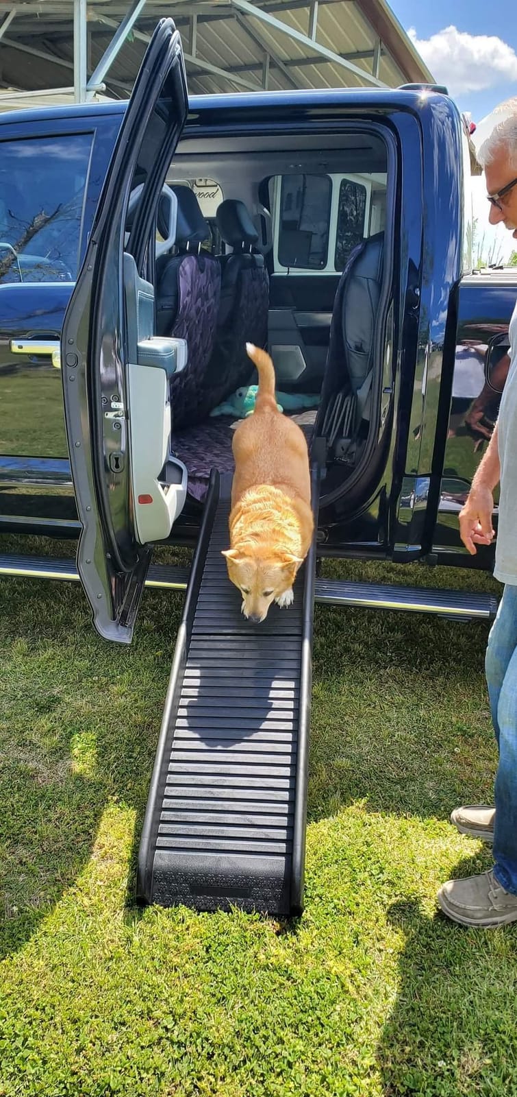 62 Inch Portable Folding Dog Ramp,Lightweight Outdoor Indoor Pet Ramp Stairs Step Ladder for Car, Truck, SUV, High Bed,Non-Slip Rug Surface Supports up to 154 lb customer photo 2