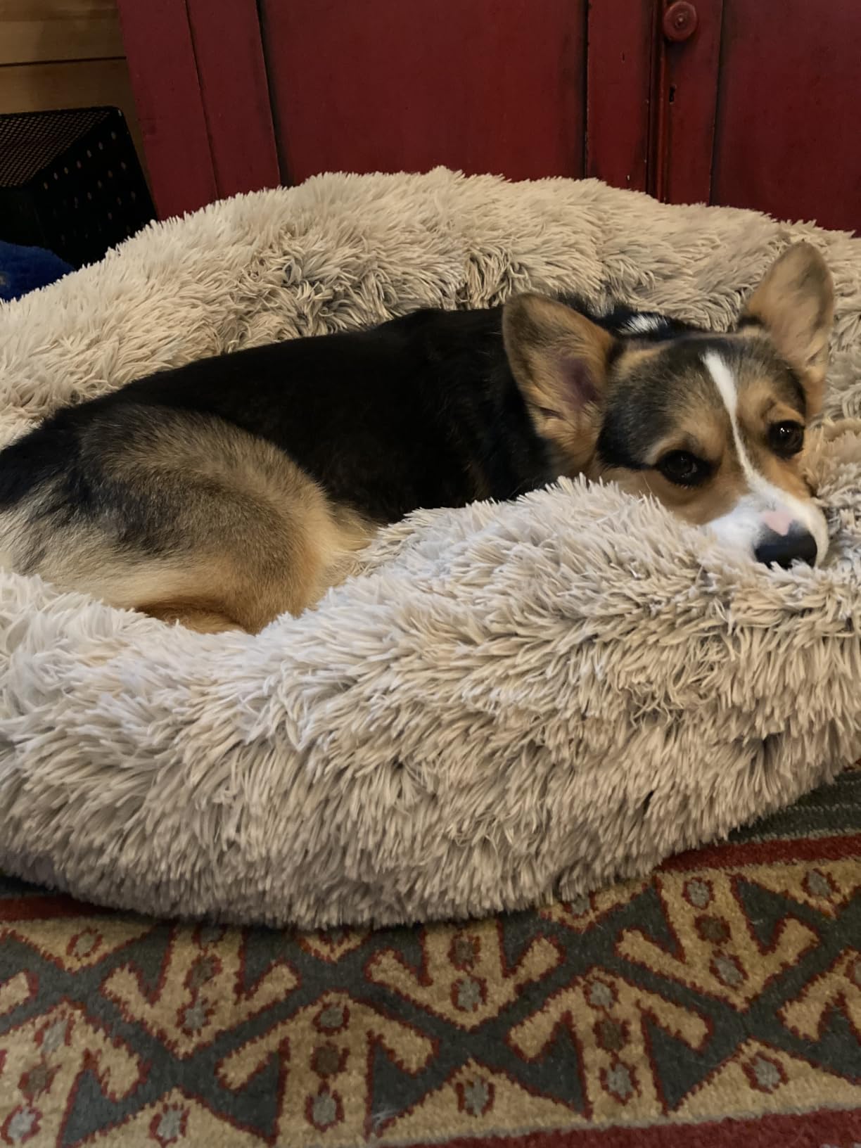 Best Friends by Sheri Original Calming Donut Dog Bed, Gray, Medium, 30