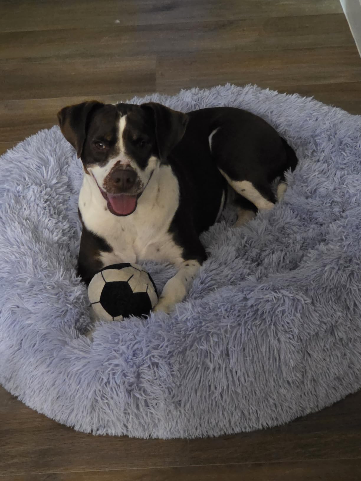 Best Friends by Sheri Original Calming Donut Dog Bed, Gray, Medium, 30